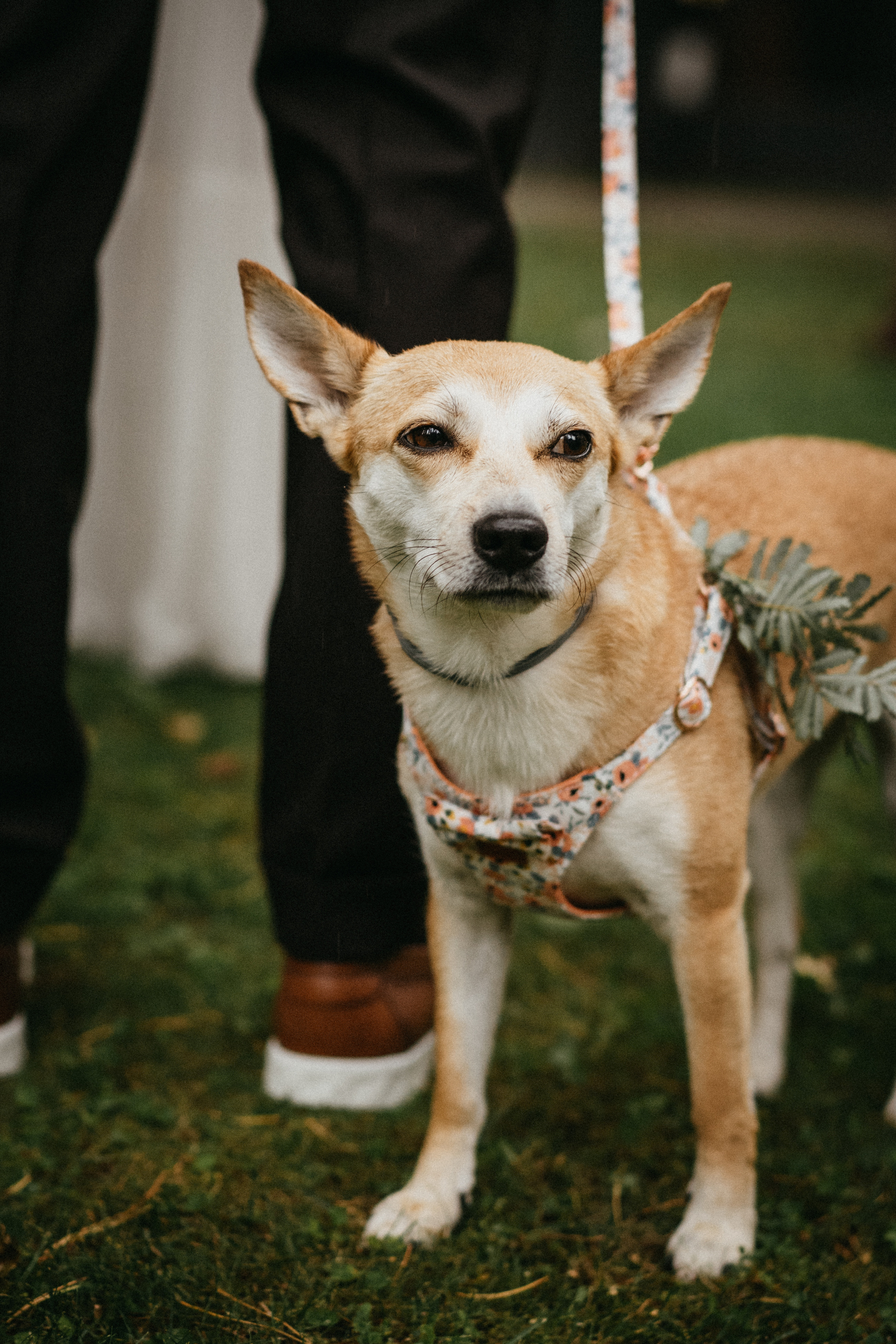 Mantas Ruta. Authentic Wedding Videography