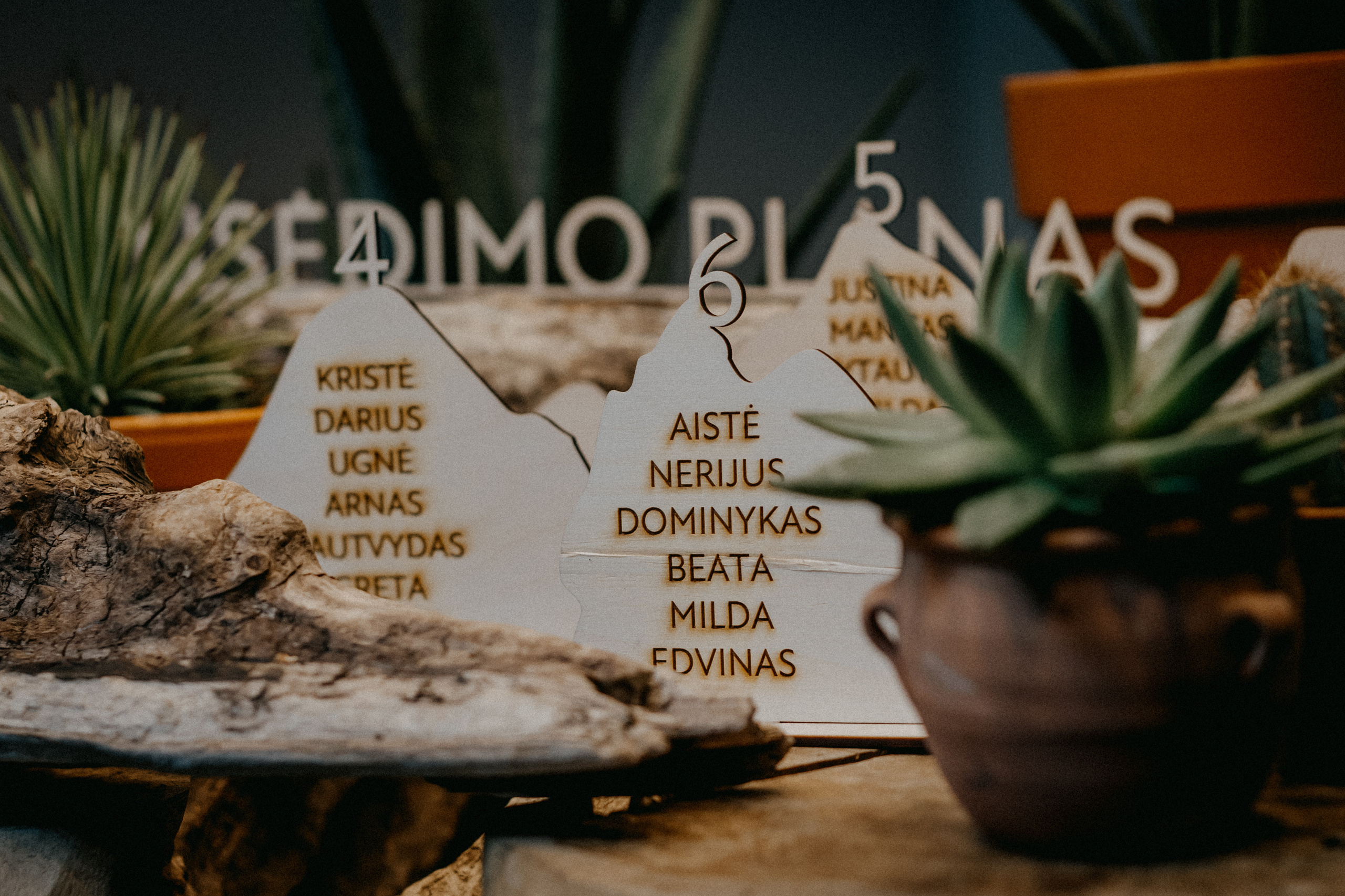 Mantas Ruta. Authentic Wedding Videography