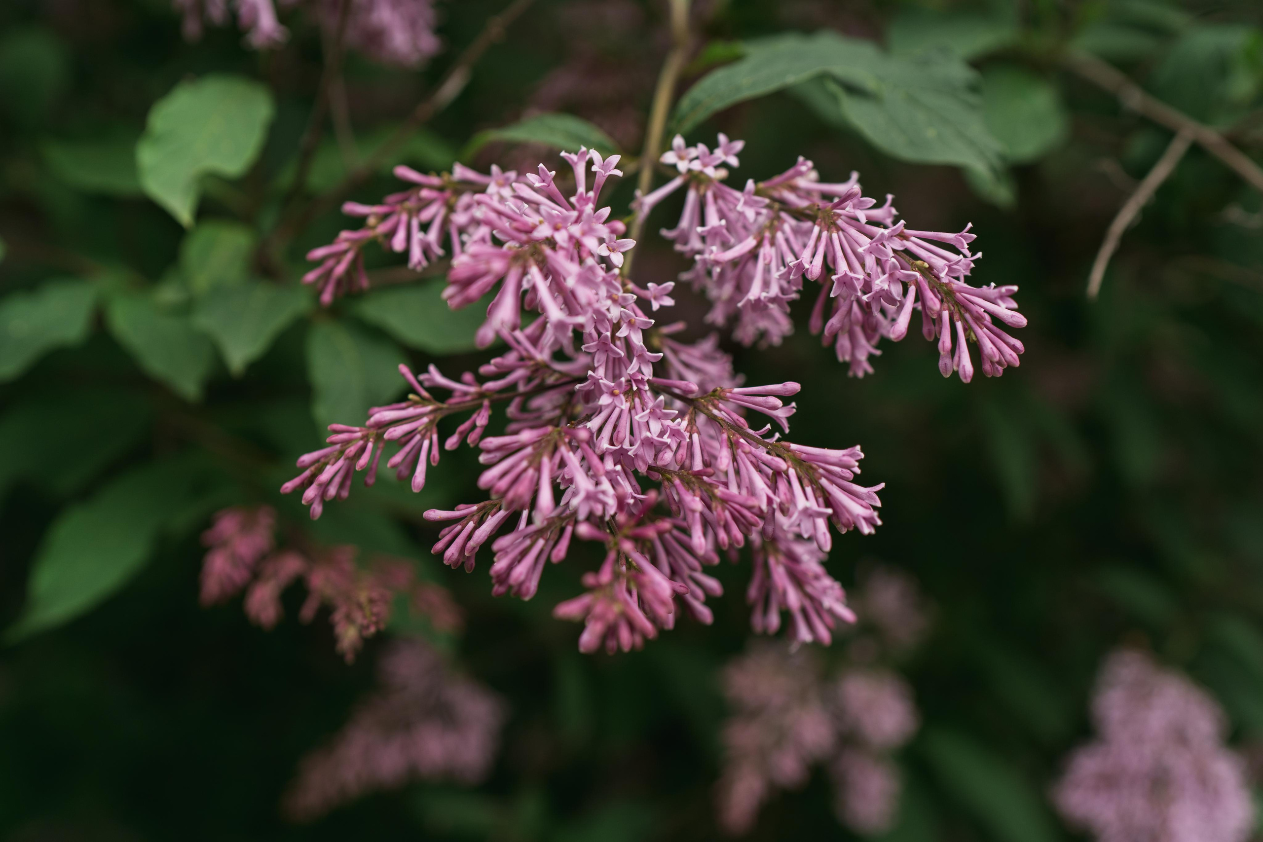 Юлечка. Свадебный и семейный фотограф в Киеве Ярина Урб