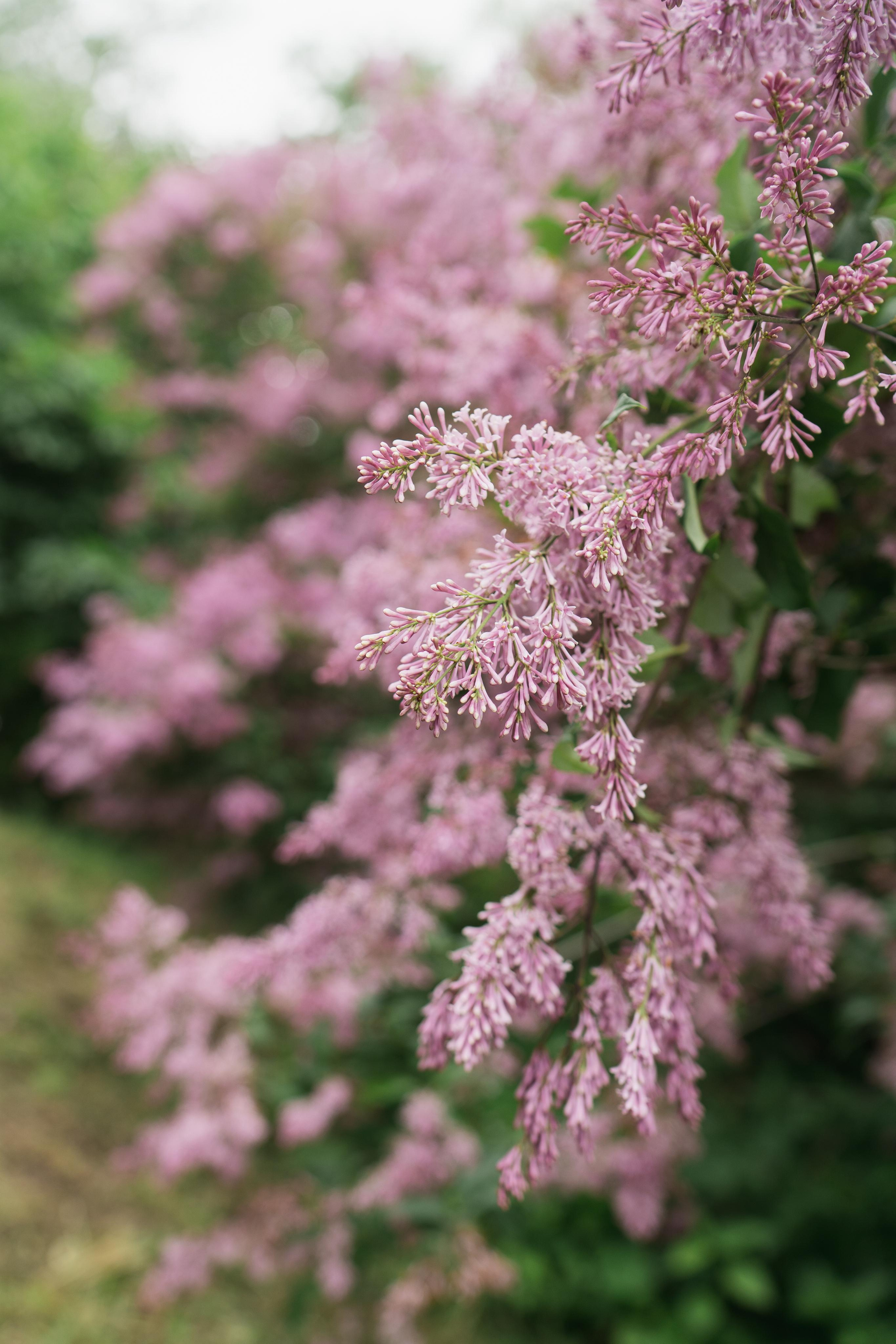 Юлечка. Свадебный и семейный фотограф в Киеве Ярина Урб