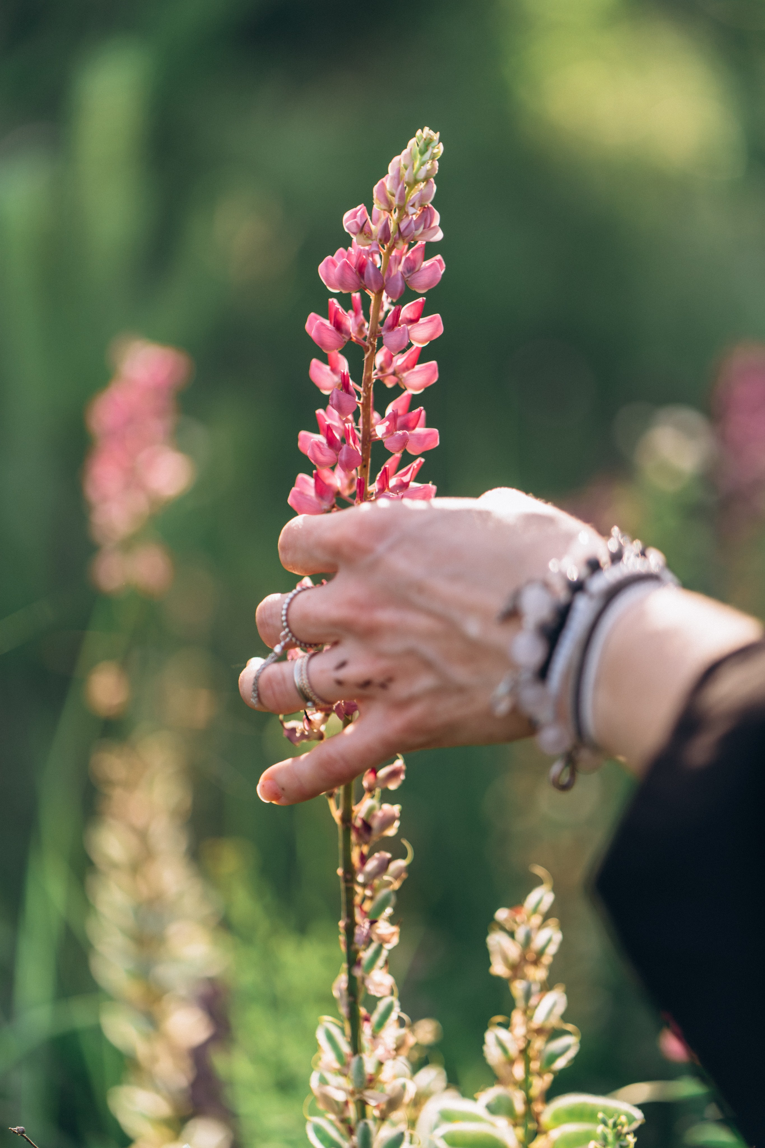 Настя. Свадебный и семейный фотограф в Киеве Ярина Урб