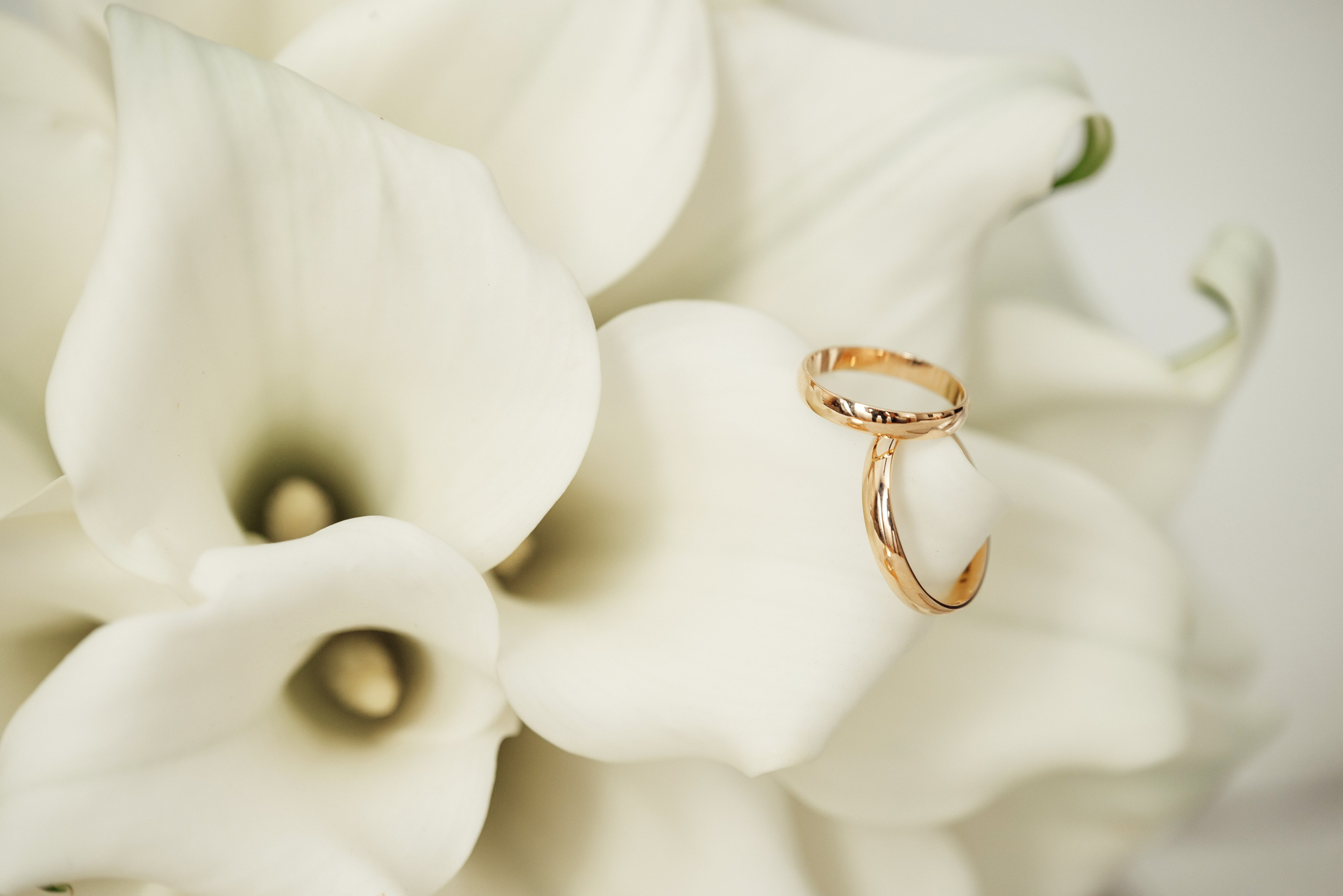 Євгеній & Юлія. Фотограф — Юрій Носач