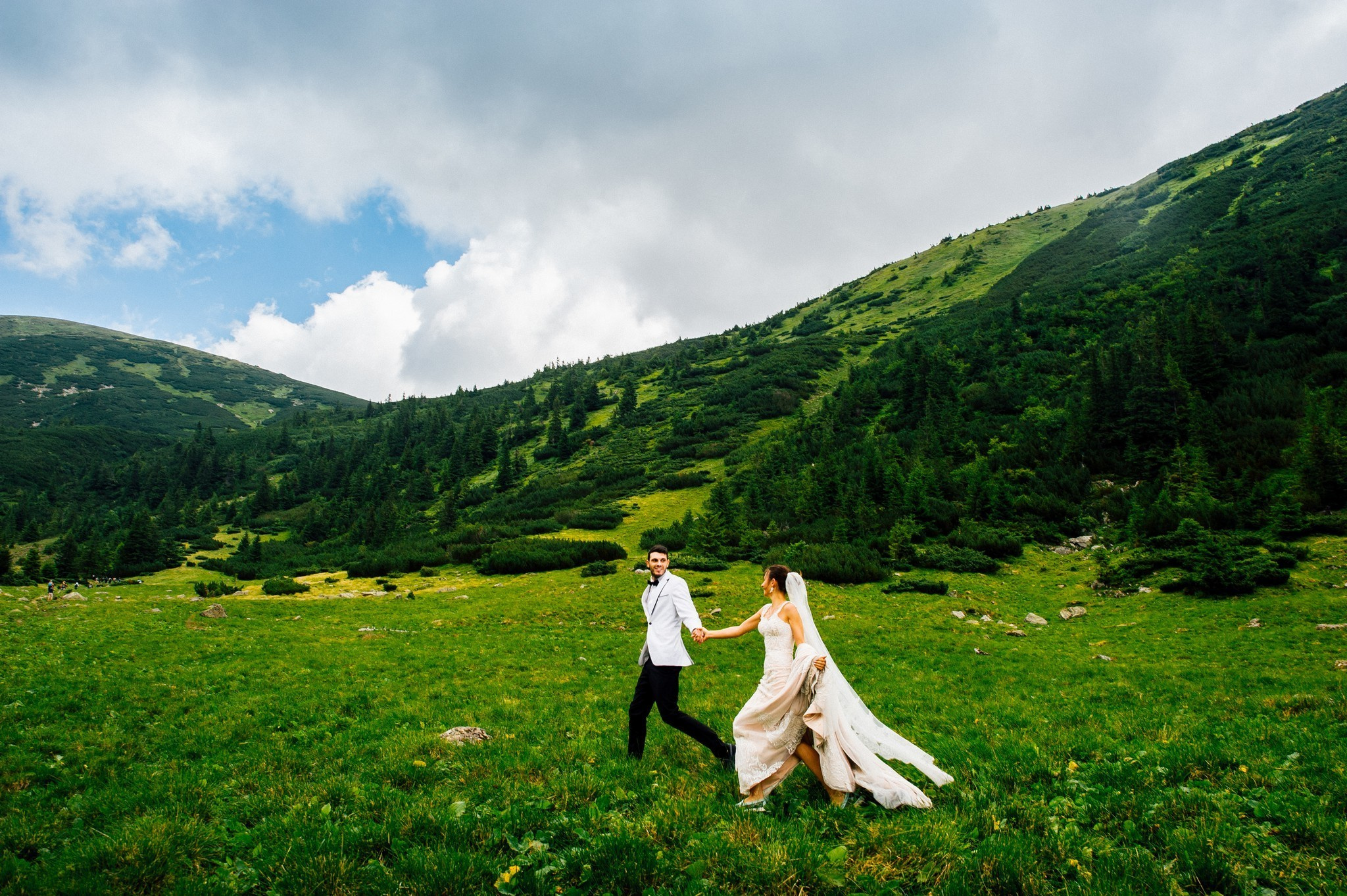 Wedding journey. Elegant Wedding Photography