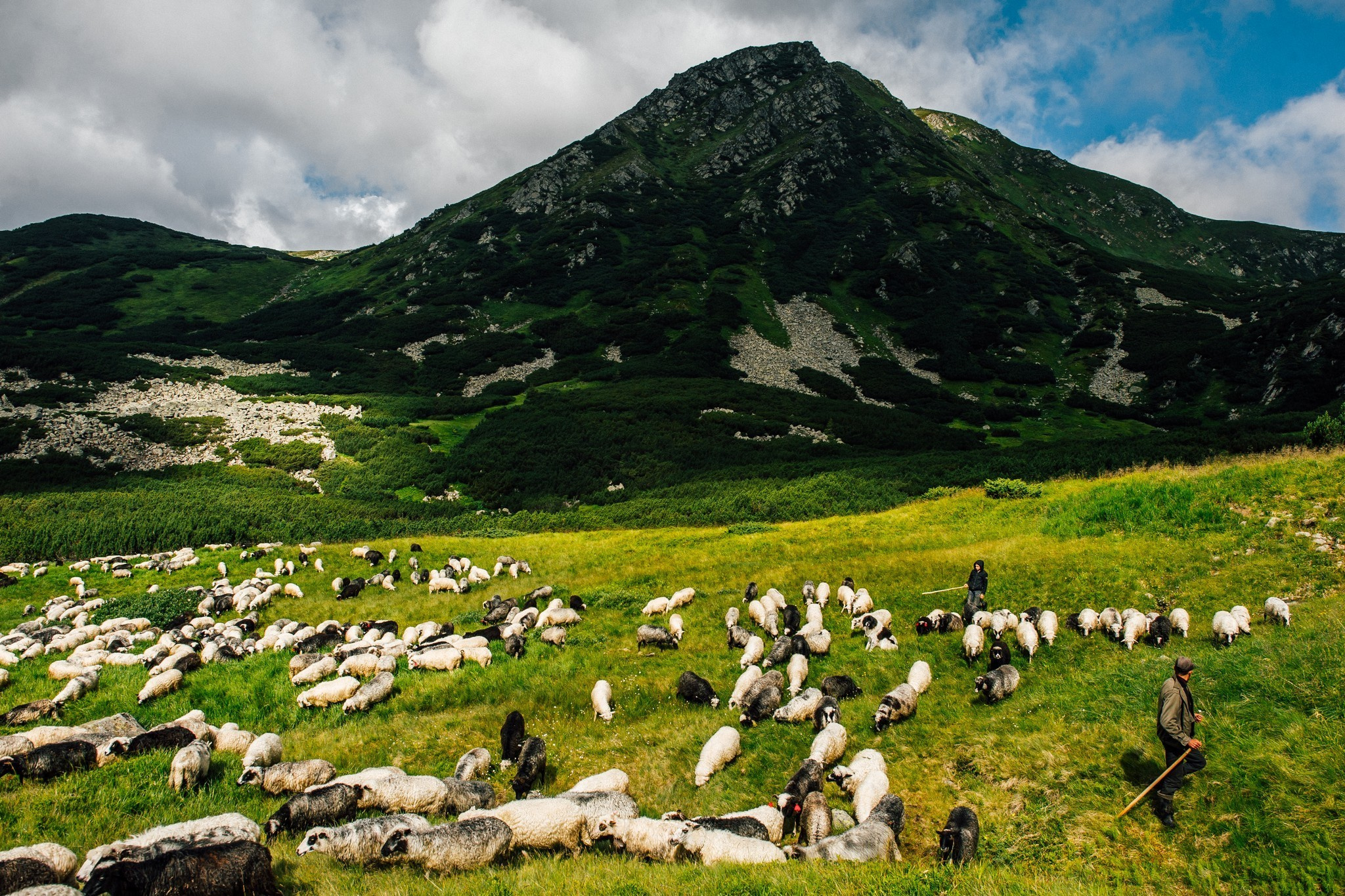 Wedding journey. Elegant Wedding Photography