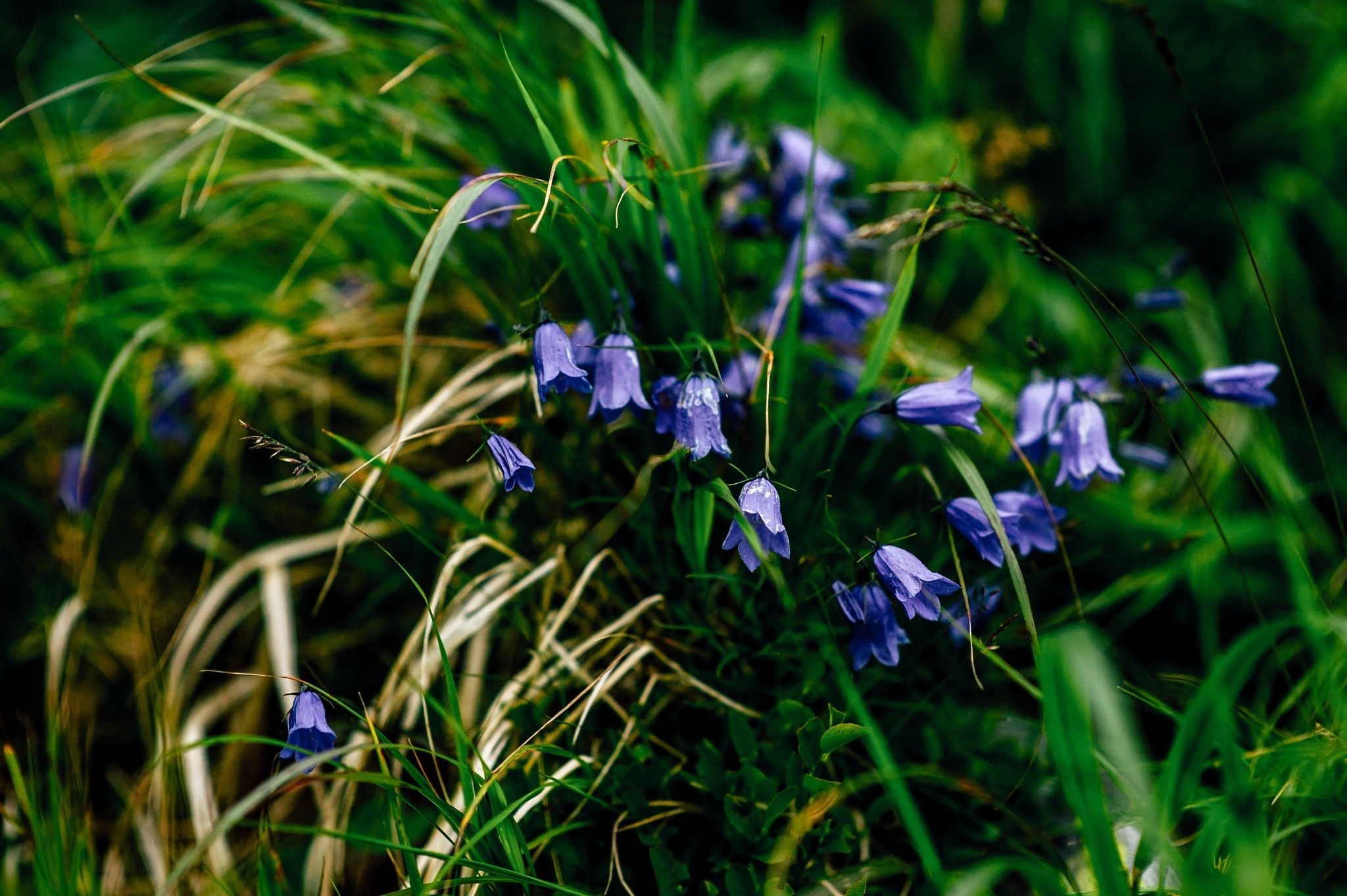 Wedding journey. Elegant Wedding Photography