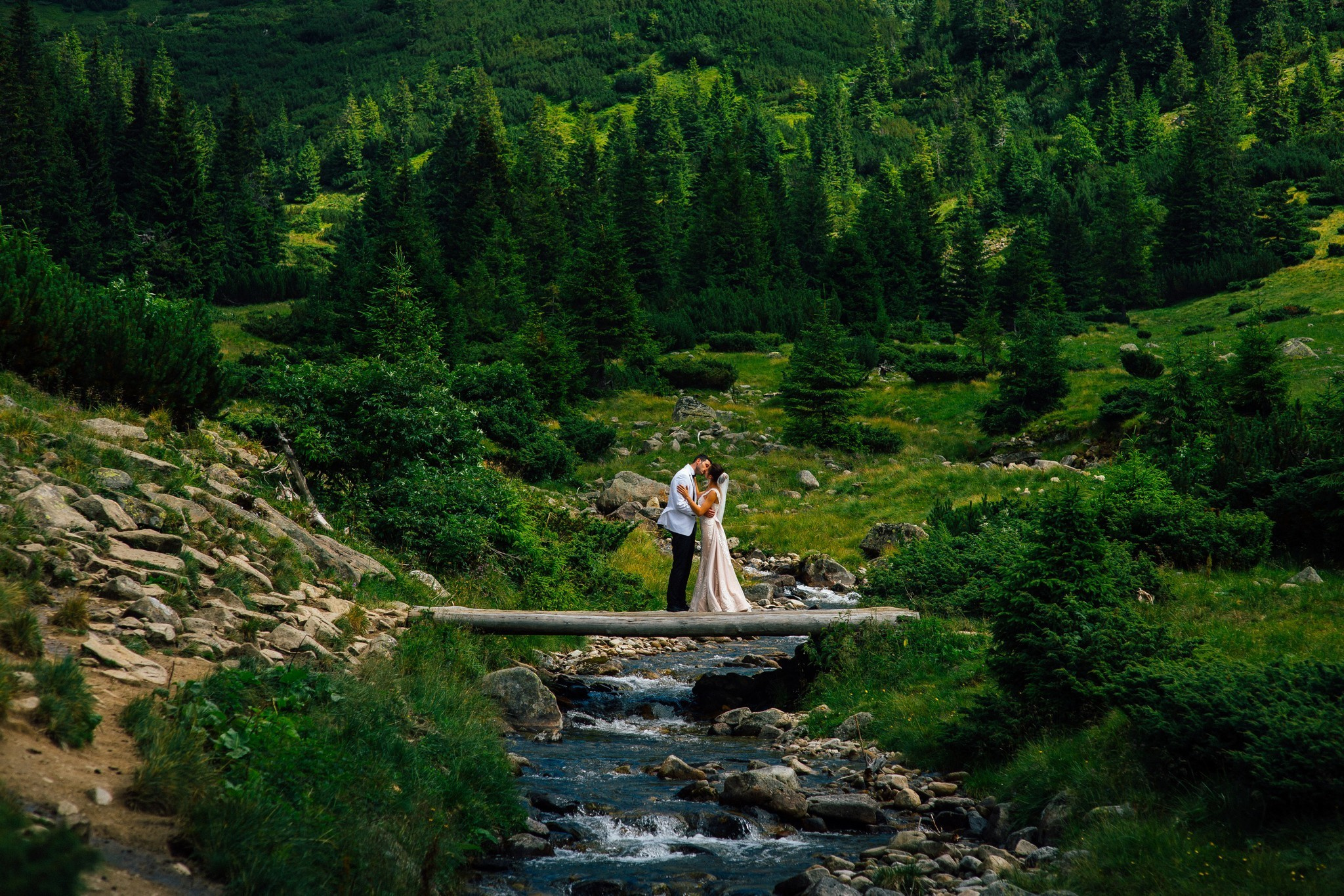 Wedding journey. Elegant Wedding Photography