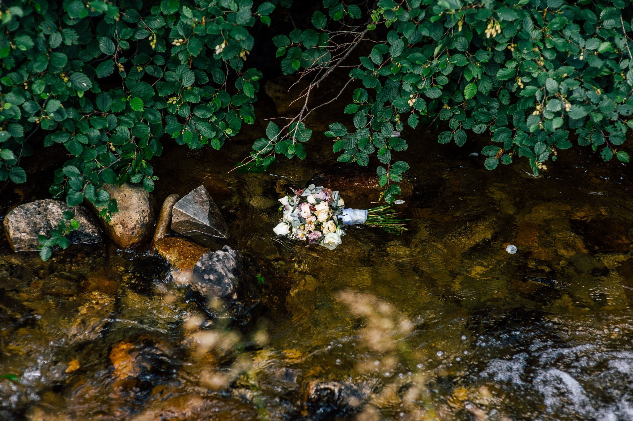Wedding journey. Elegant Wedding Photography