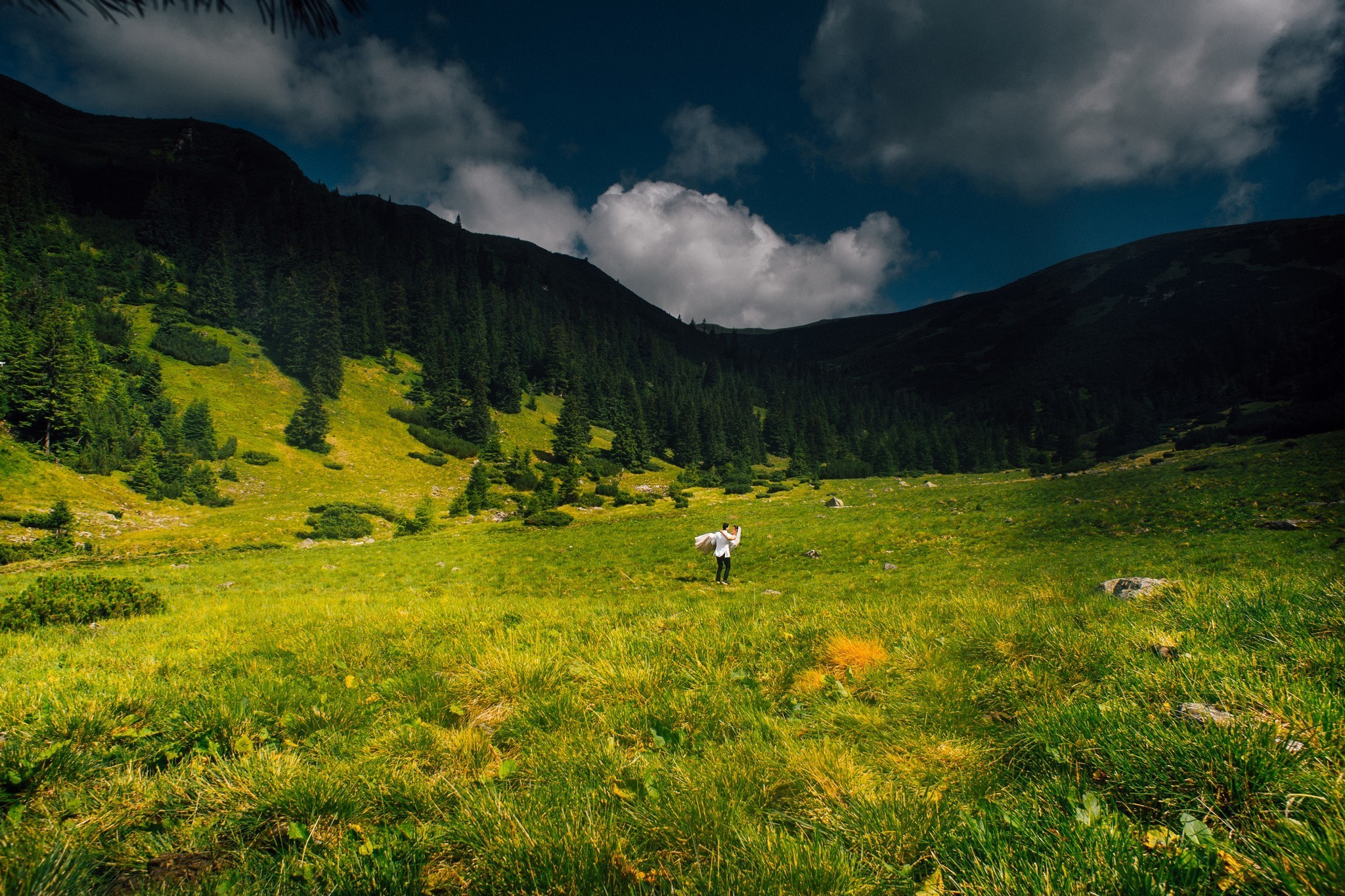 Wedding journey. Elegant Wedding Photography