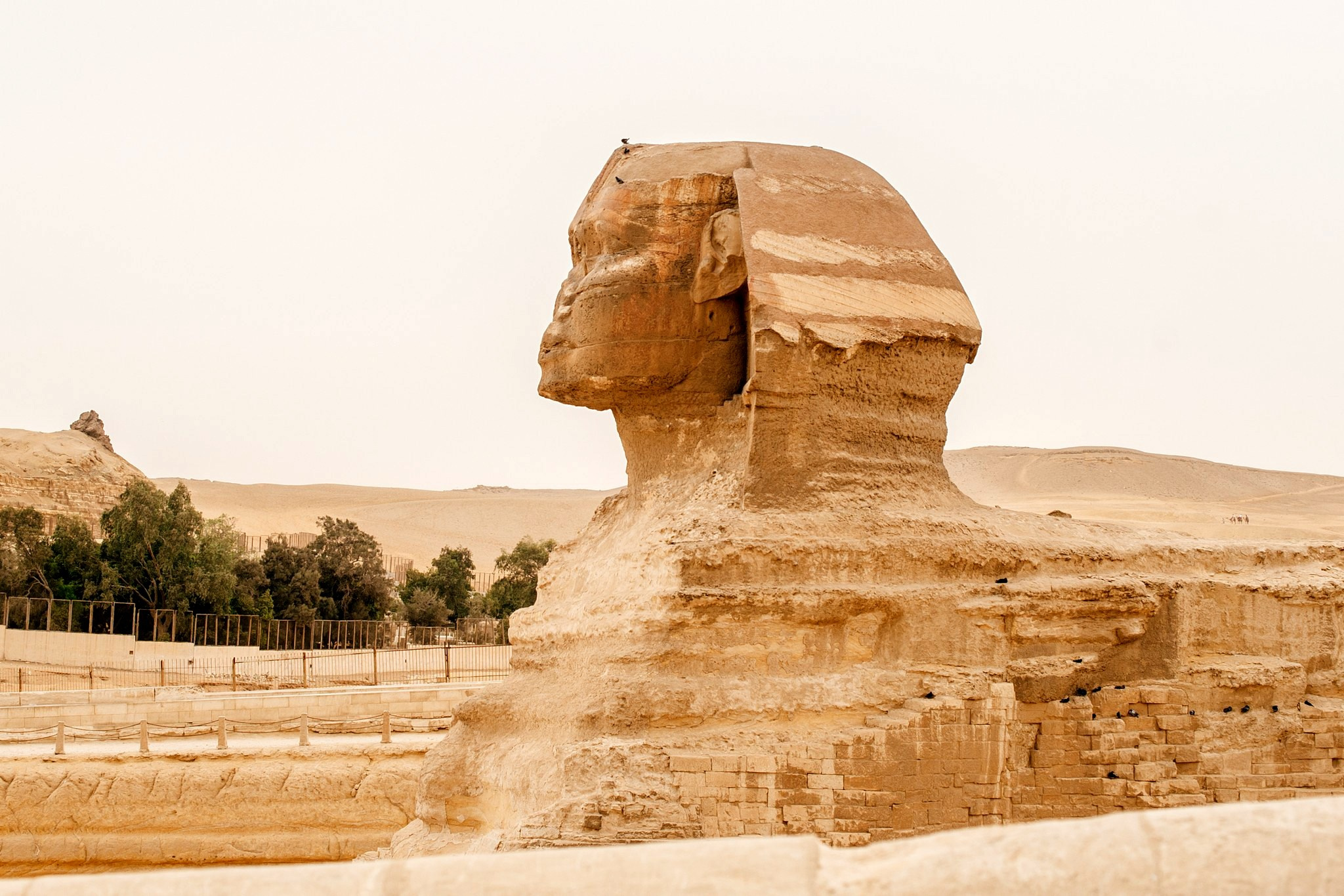 Egipt. Elegant Wedding Photography