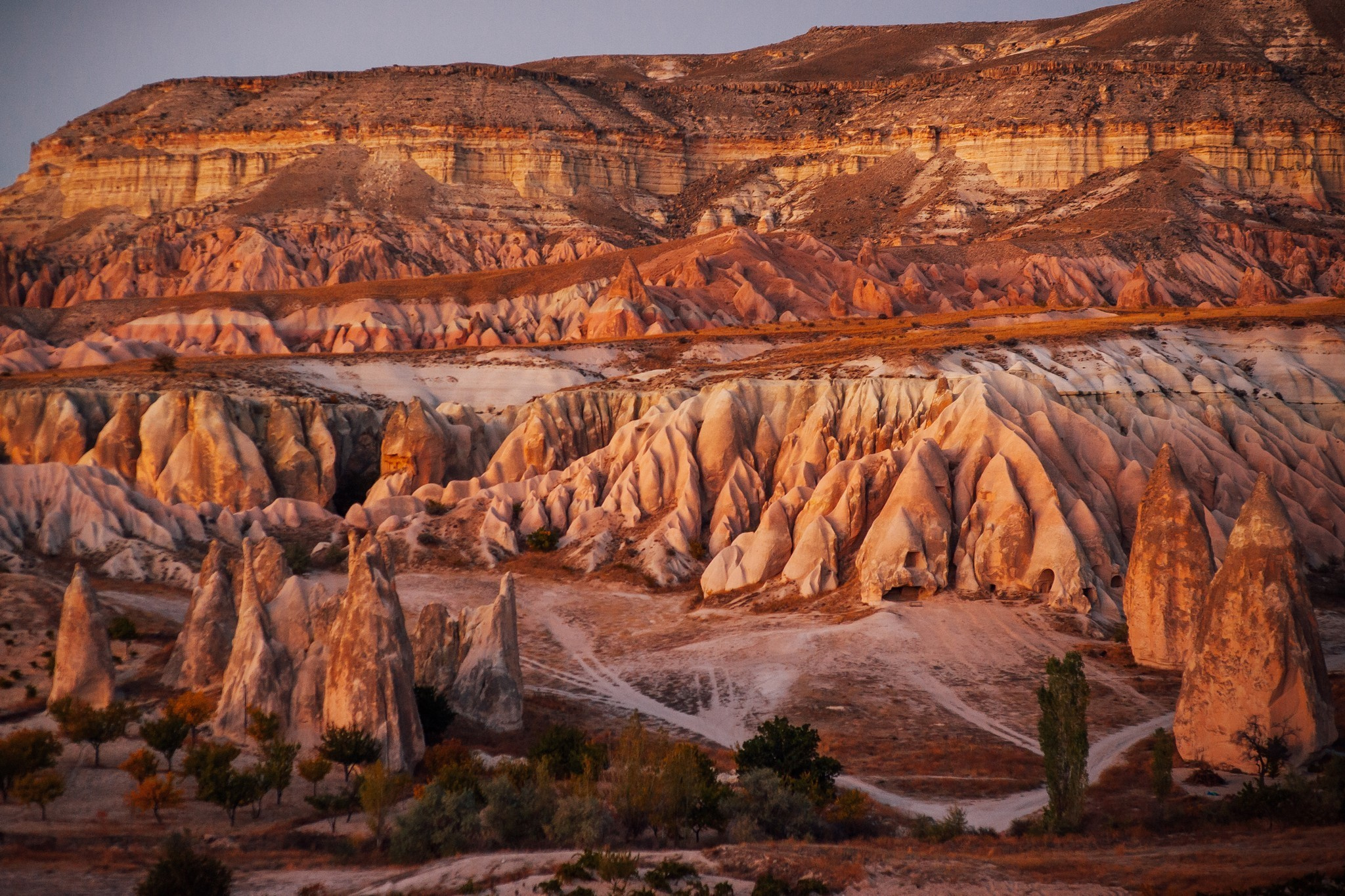 Ease to love. Elegant Wedding Photography