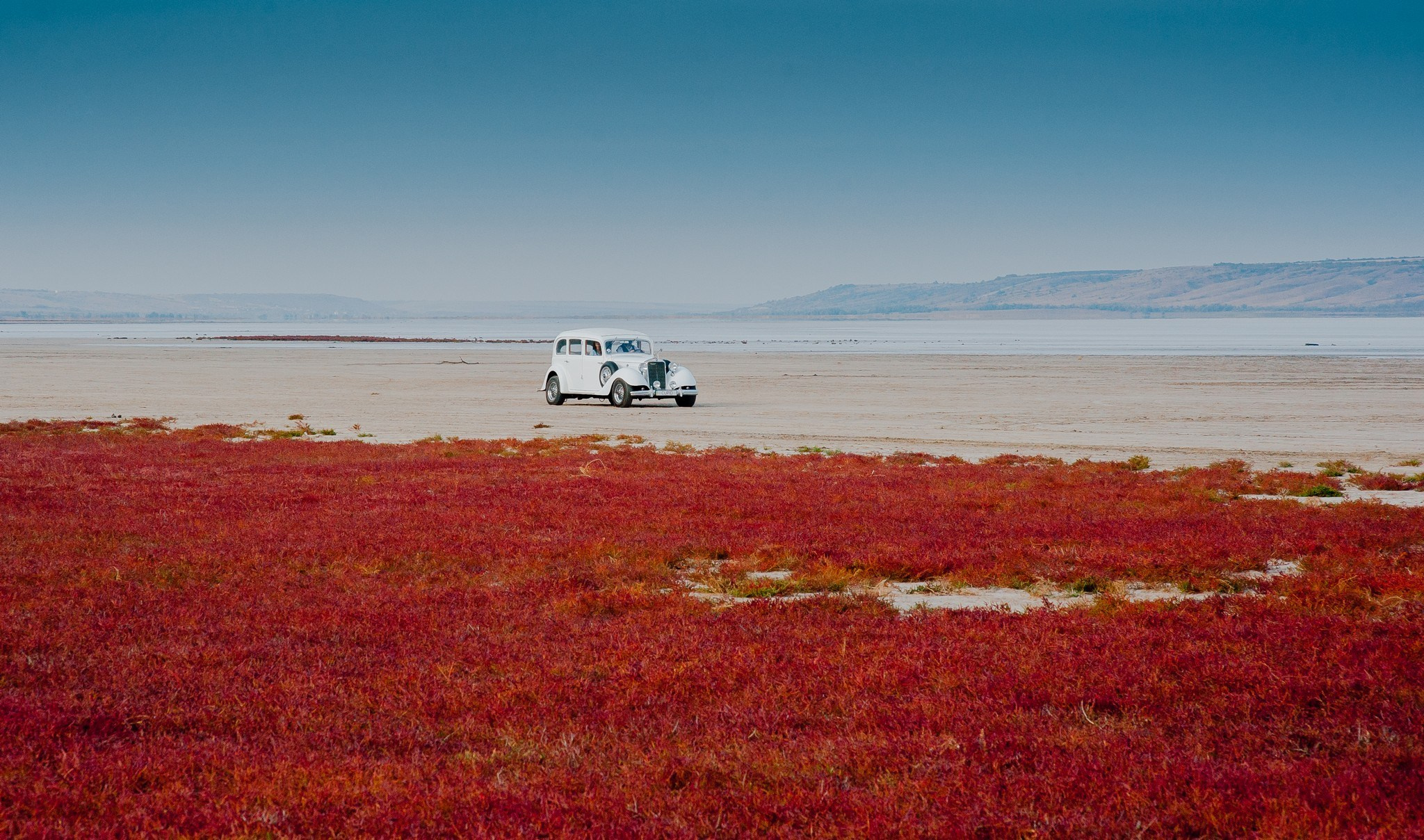 Blue Sky. Elegant Wedding Photography