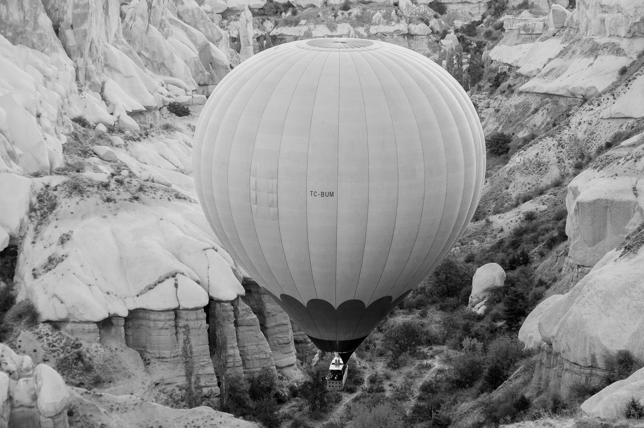 Ease to love. Elegant Wedding Photography