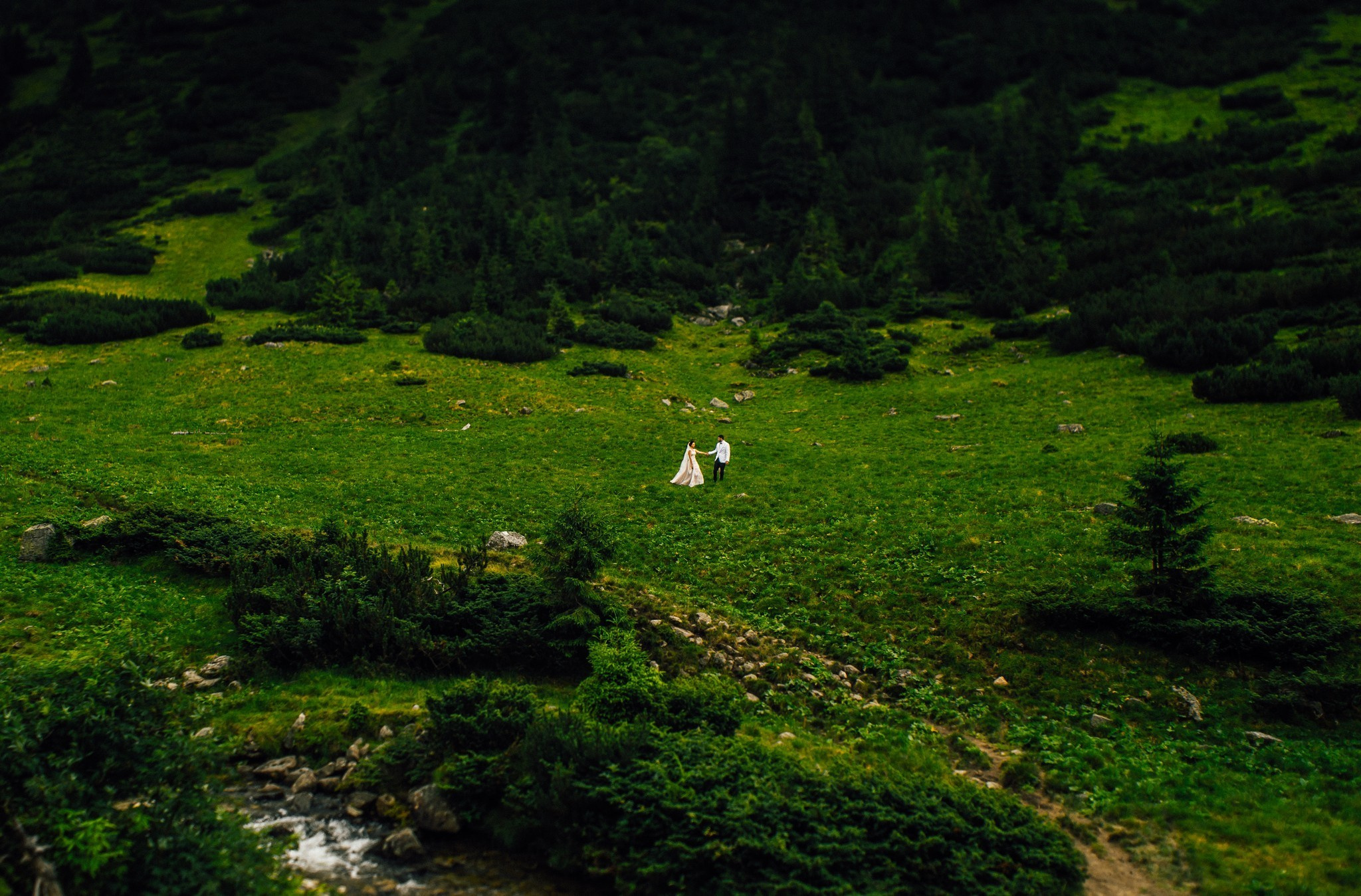 Wedding journey. Elegant Wedding Photography