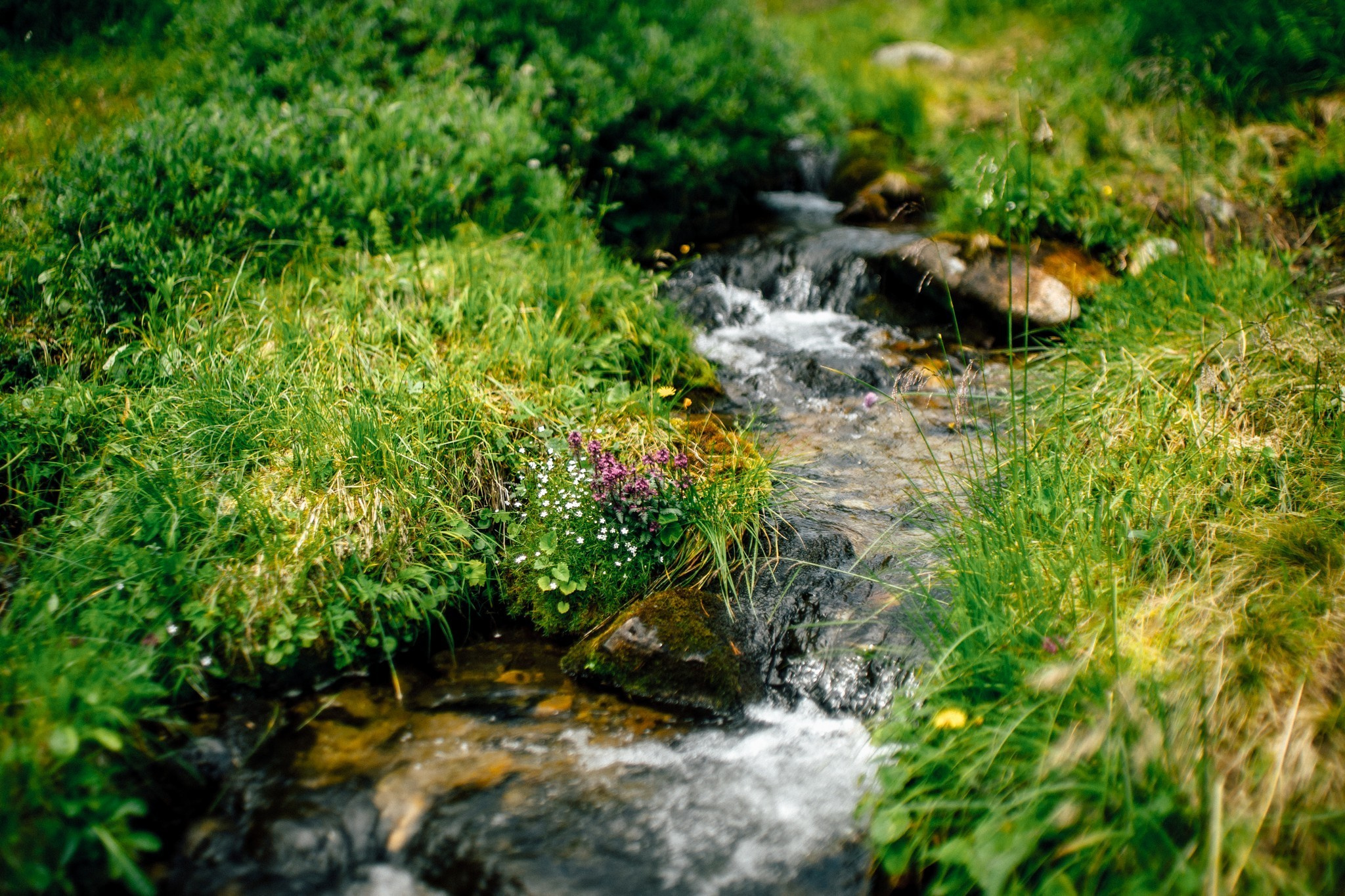 Wedding journey. Elegant Wedding Photography