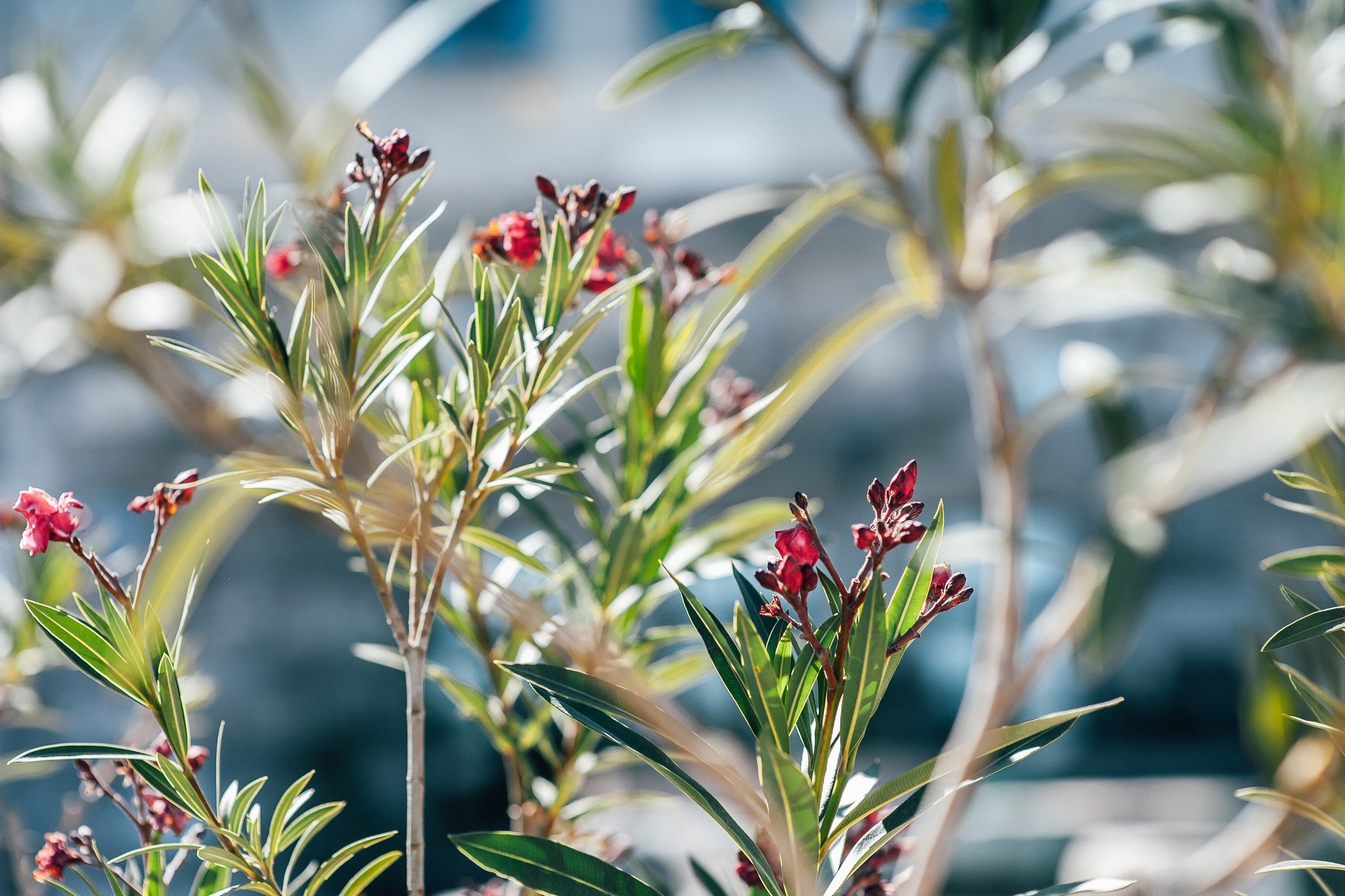 Ease to love. Elegant Wedding Photography