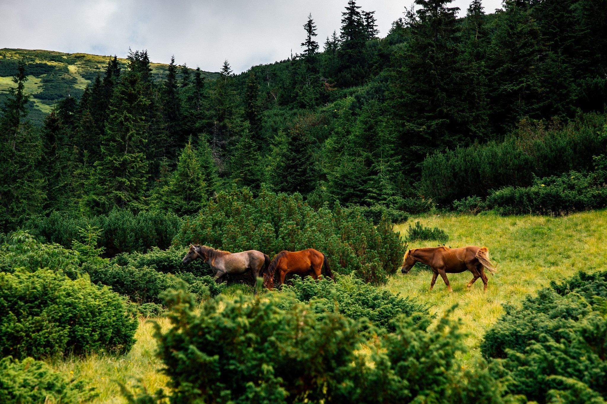 Wedding journey. Elegant Wedding Photography