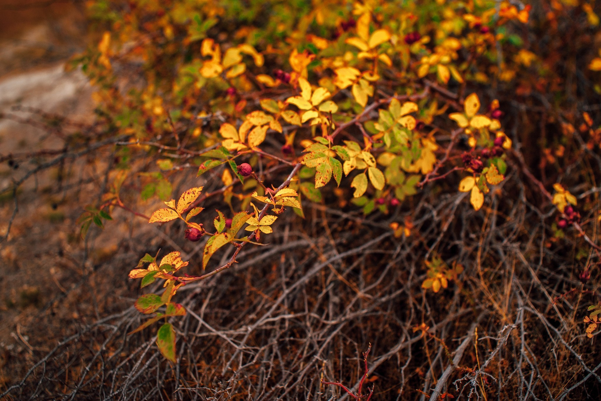 Ease to love. Elegant Wedding Photography