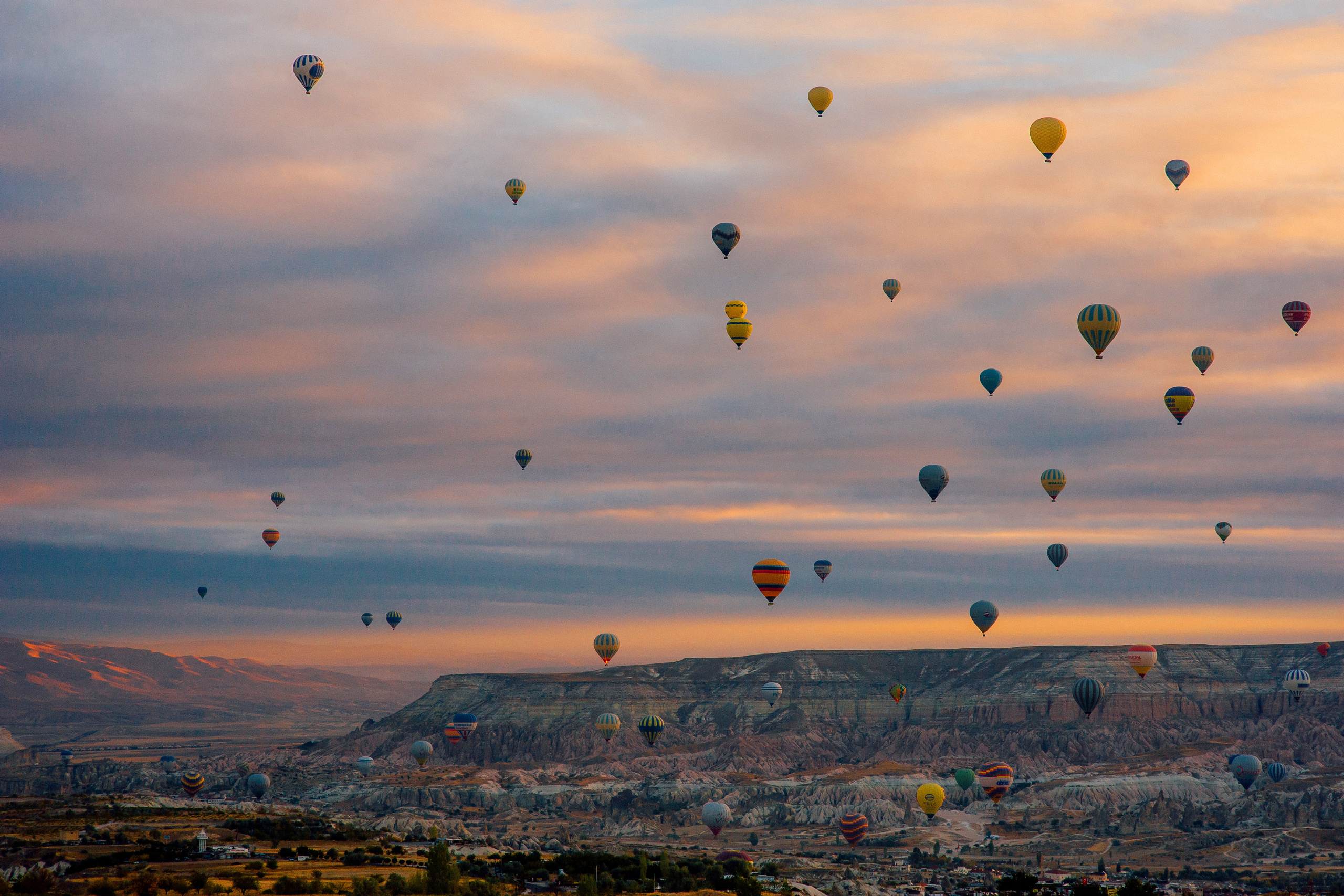 Ease to love. Elegant Wedding Photography