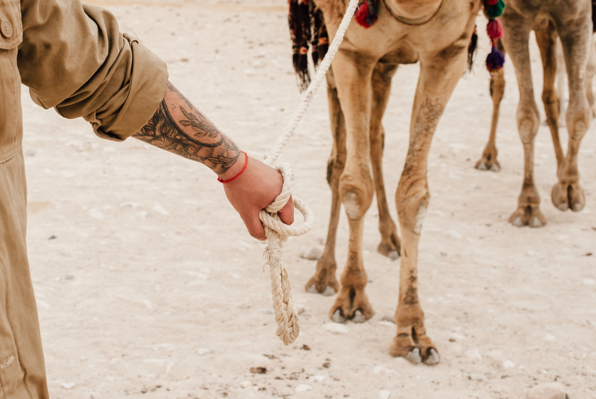 Egipt. Elegant Wedding Photography