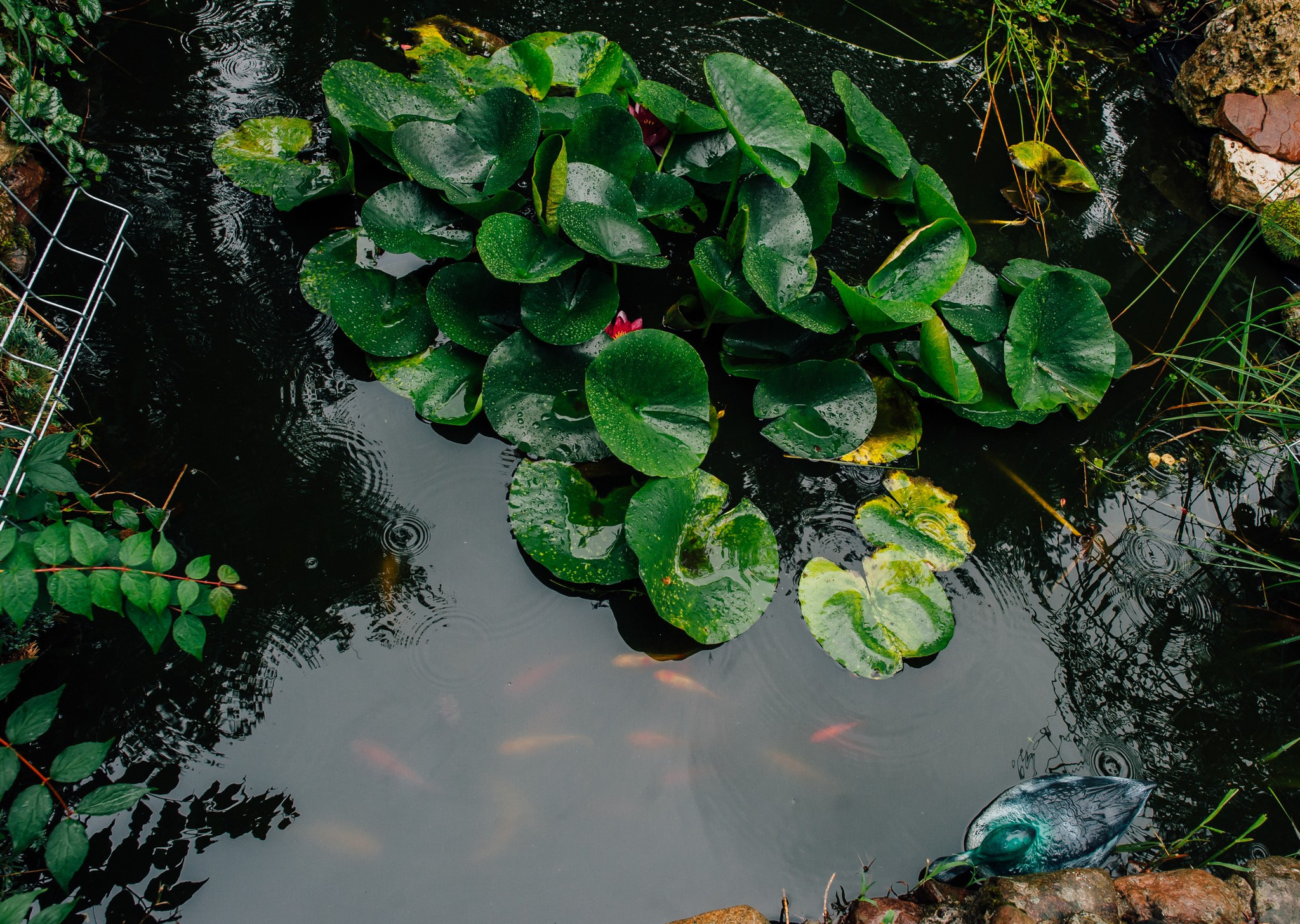 Kasper&Anita. Elegant Wedding Photography