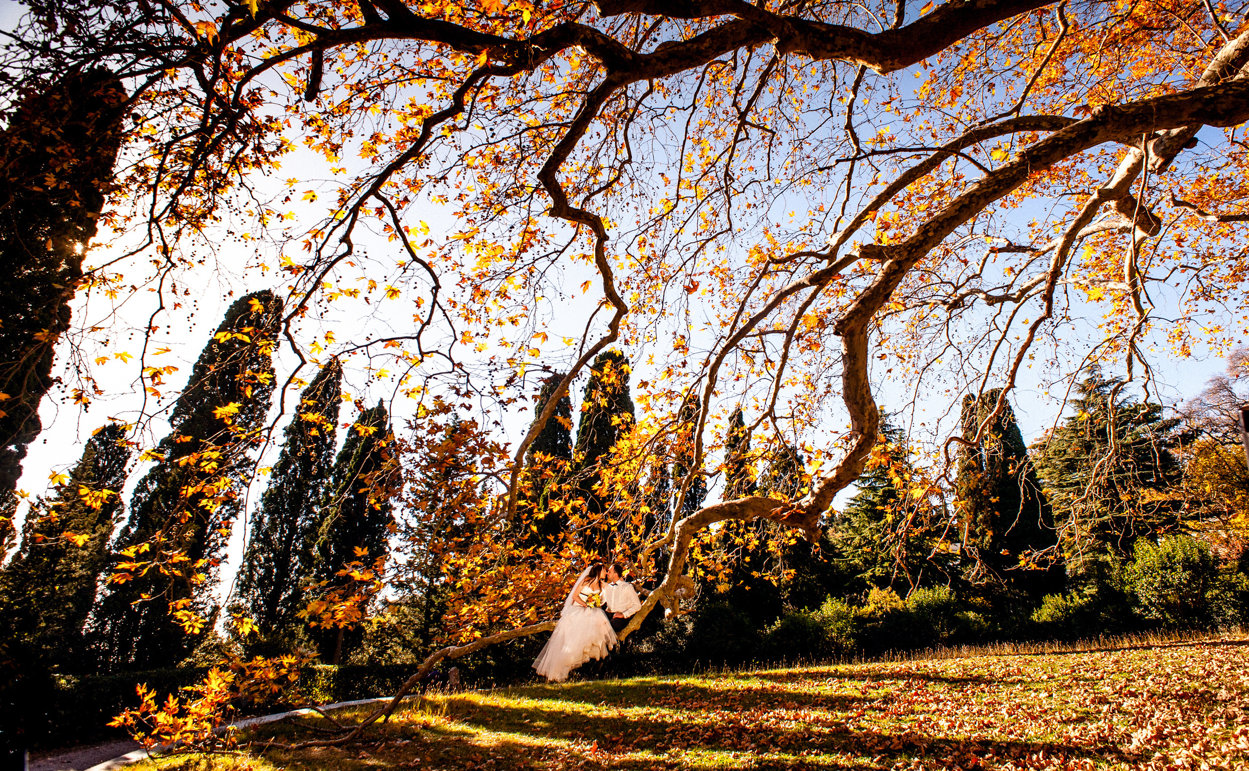 Elegant Wedding Photography