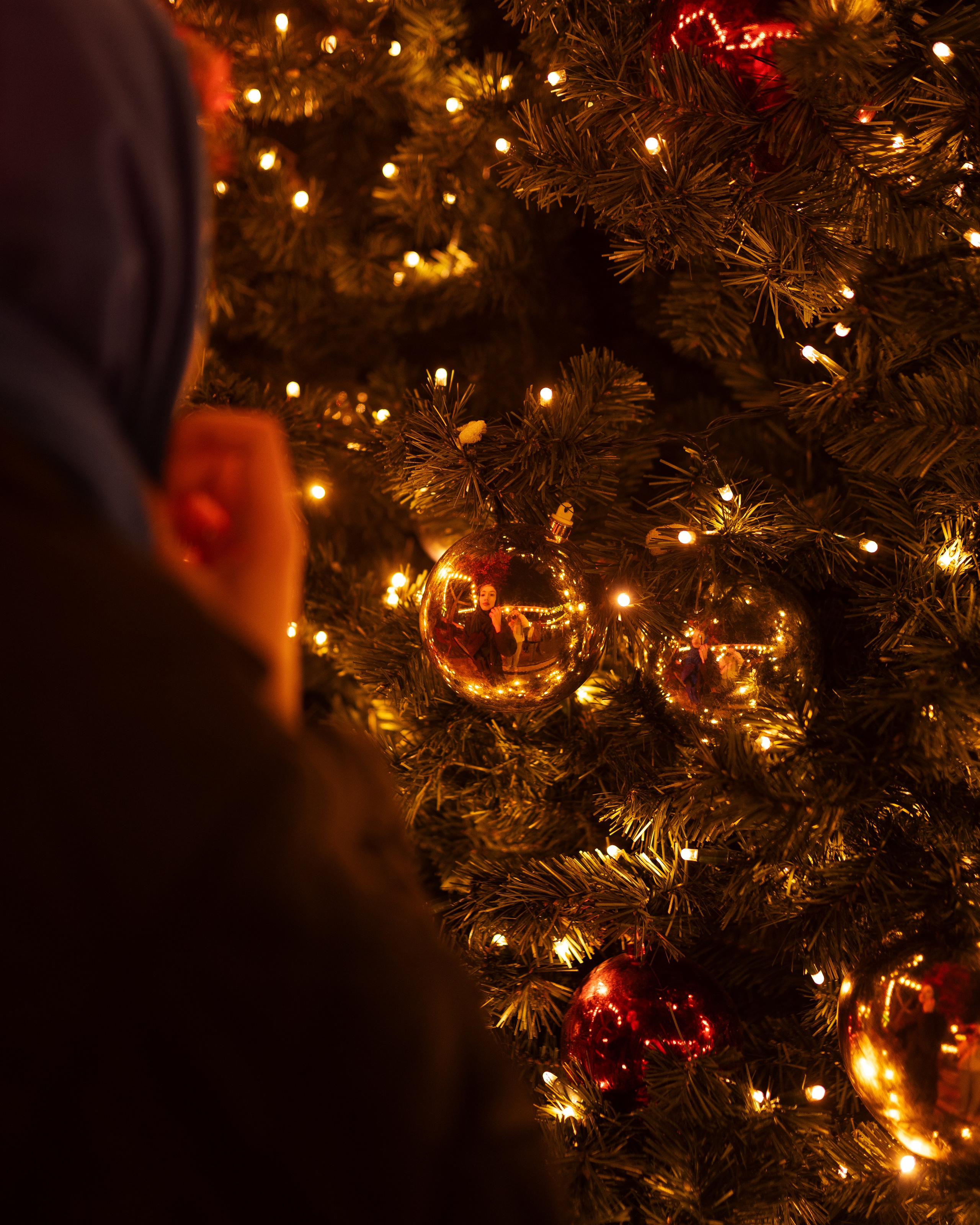 Olla. Vladyslav Levenkov