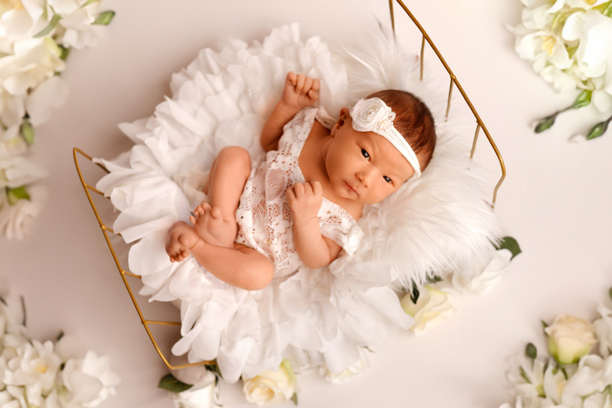 НИКОЛЬ. Jefnanewborn.com