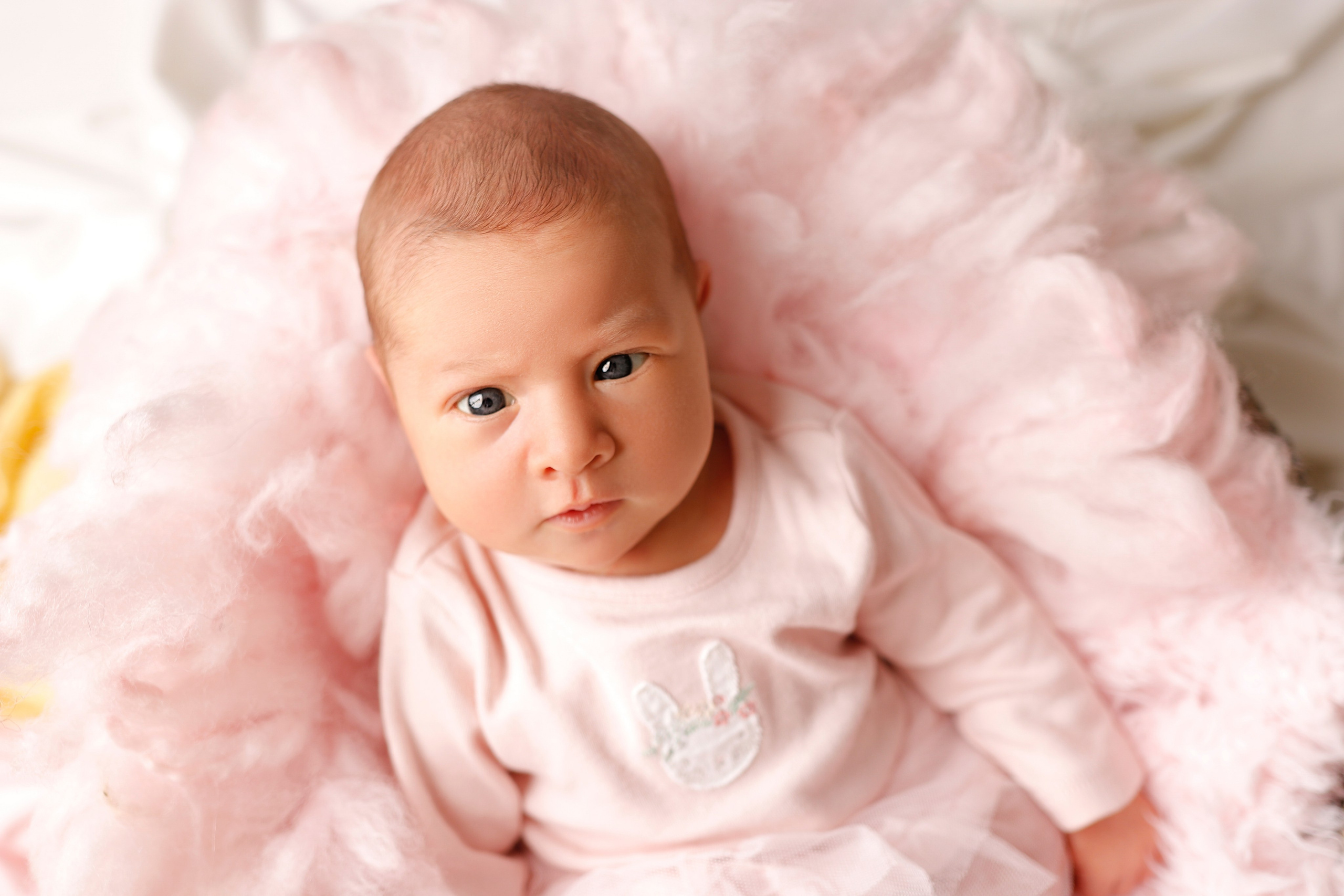 ГРЕЙС. Jefnanewborn.com