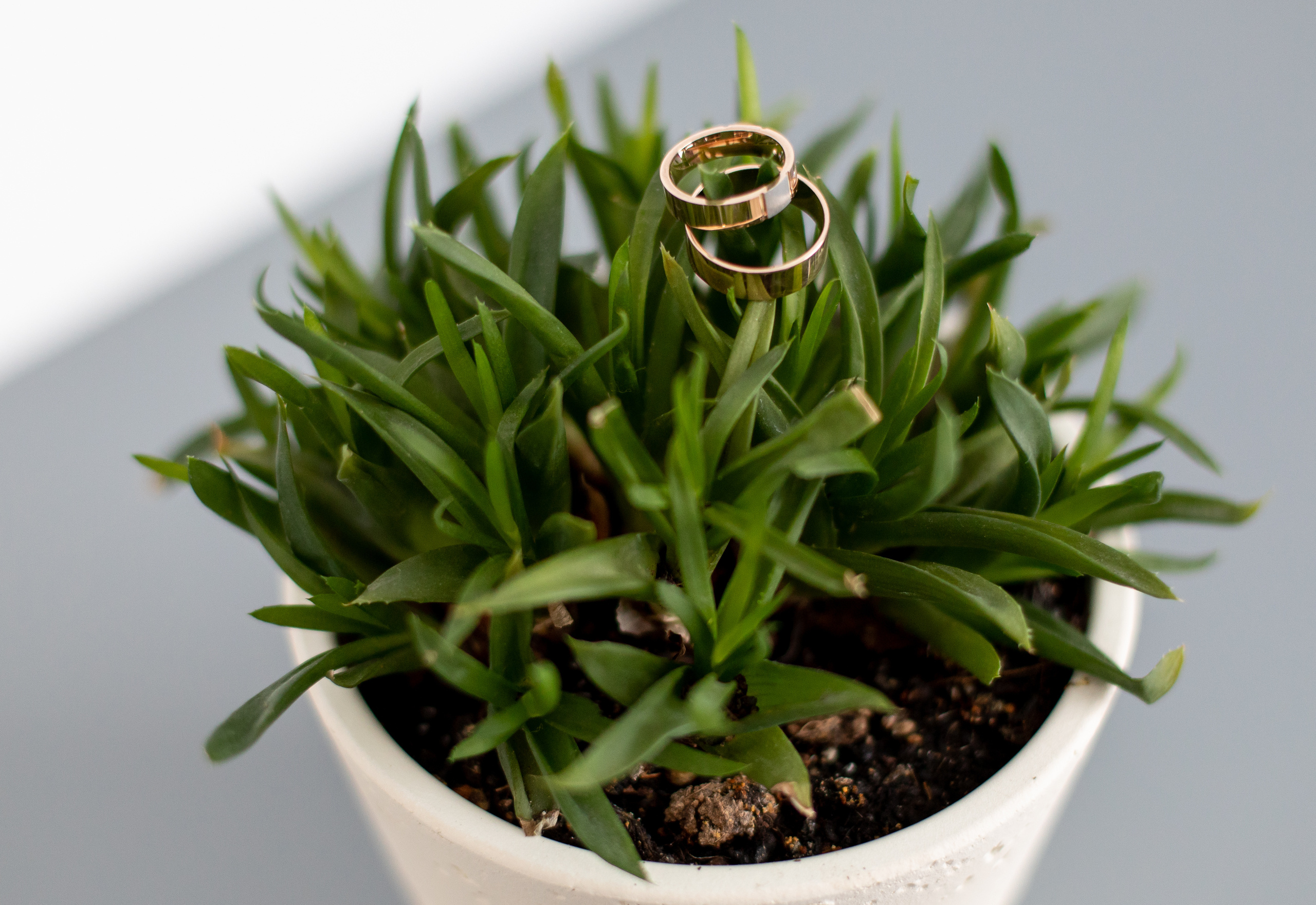 Фотосессия красивой пары. Фотограф Дмитро Чернявський