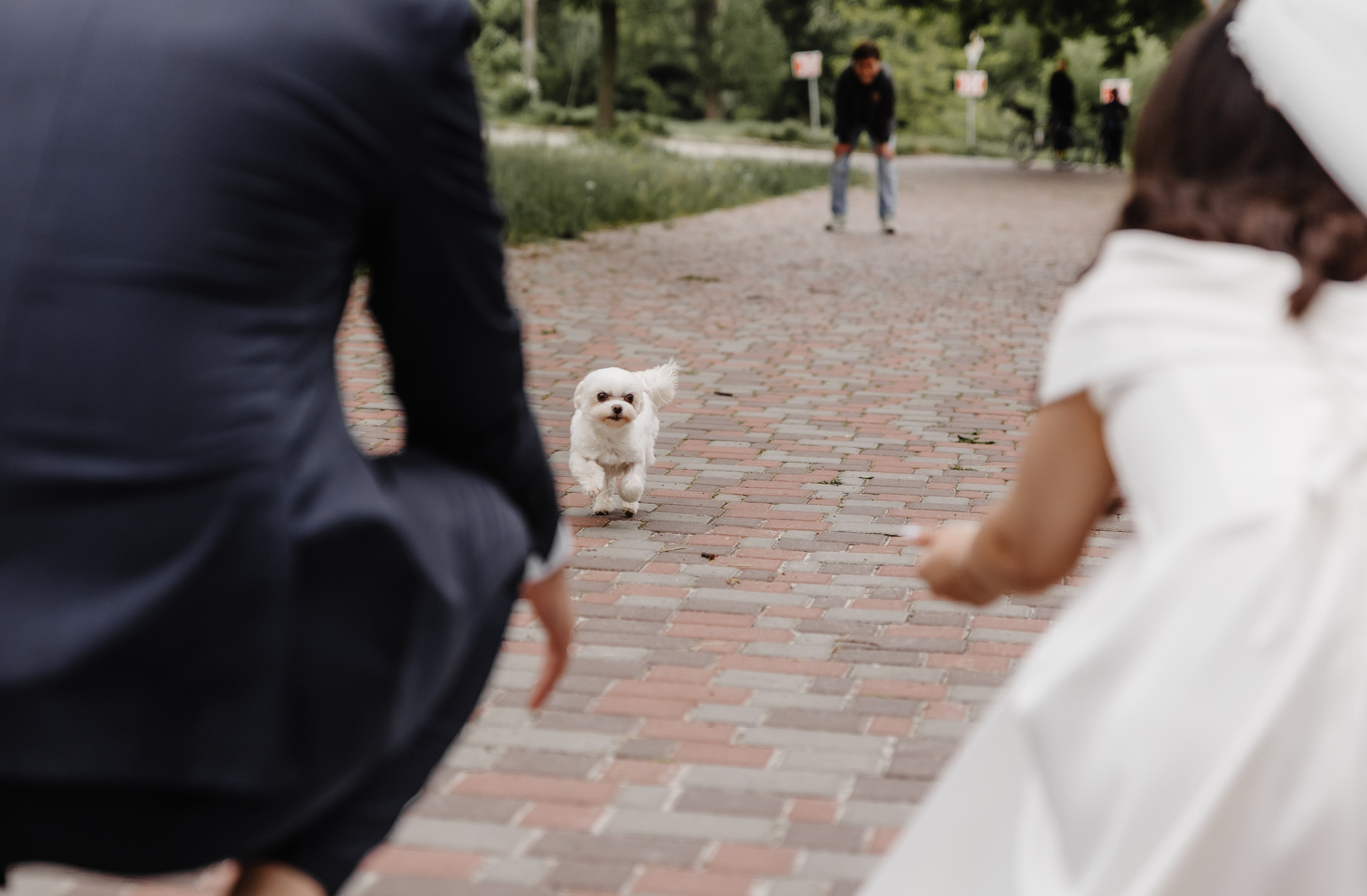 WEDDING DAY. Фотограф Дмитро Чернявський