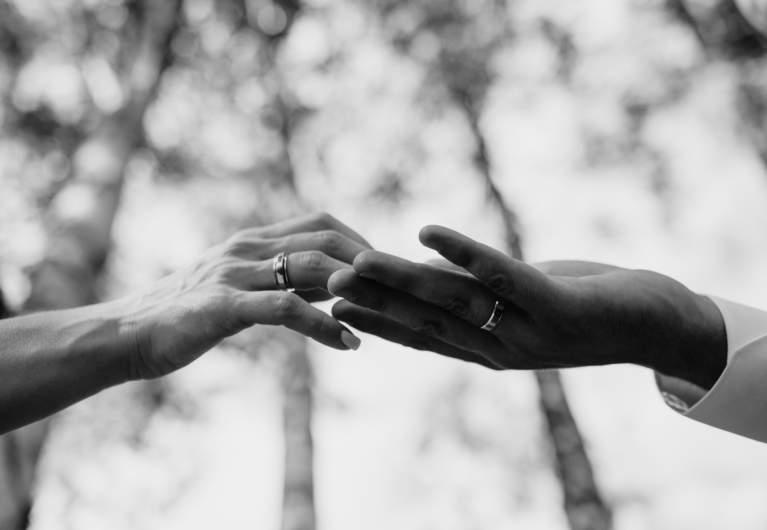 Wedding. Фотограф Дмитро Чернявський