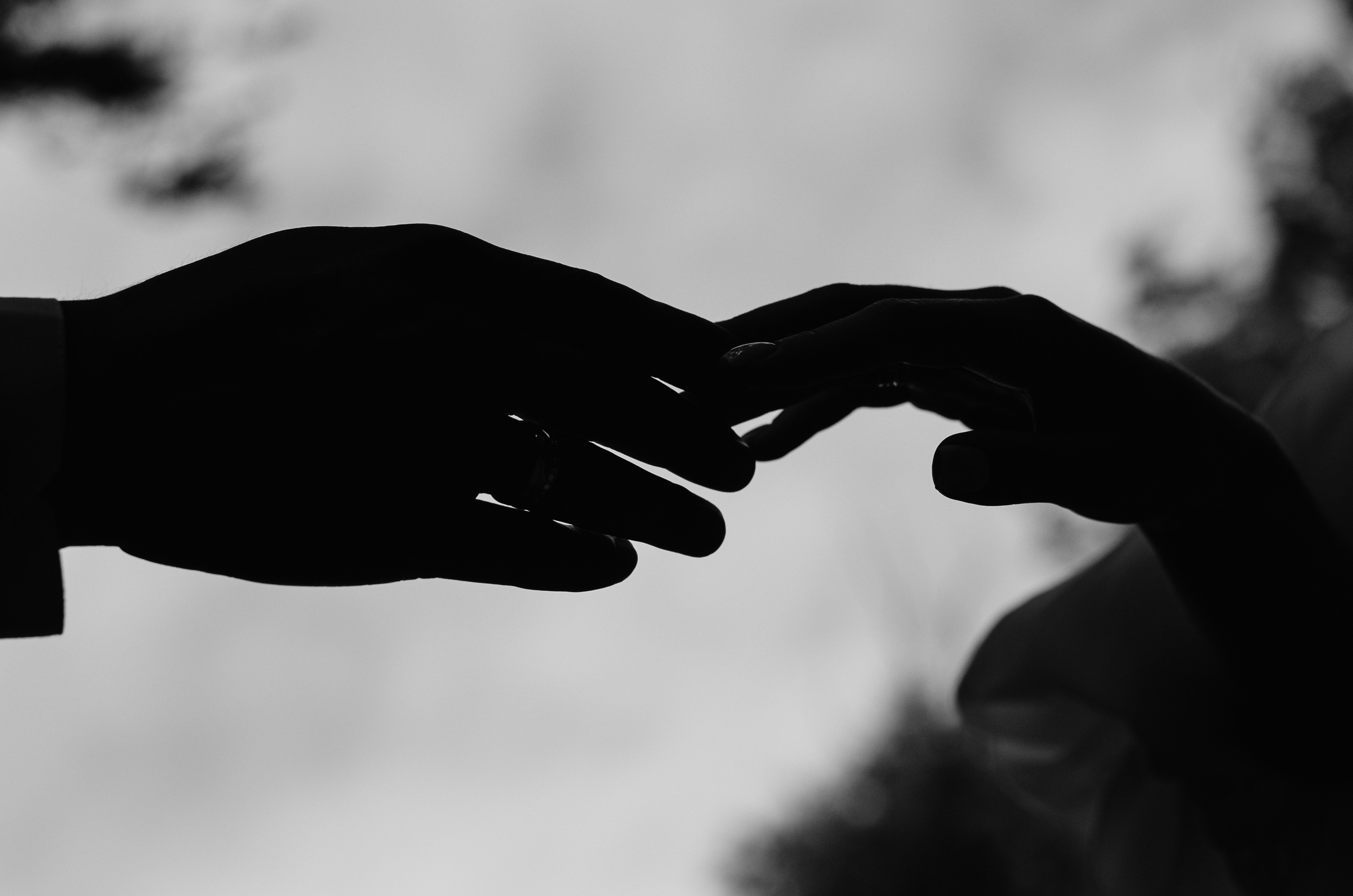 Анастасія & Віталій. Фотограф Дмитро Чернявський