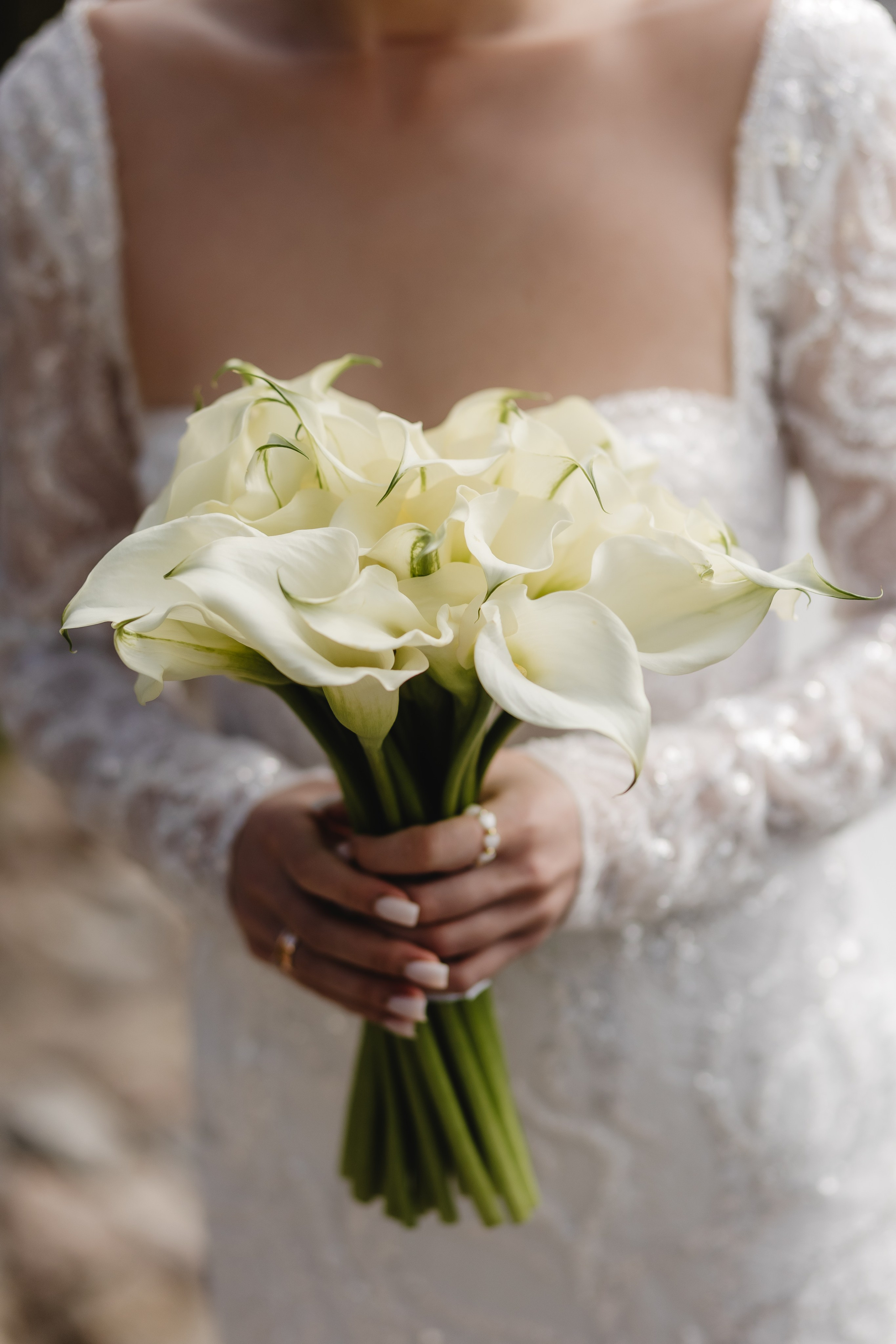 WEDDING DAY. Фотограф Дмитро Чернявський