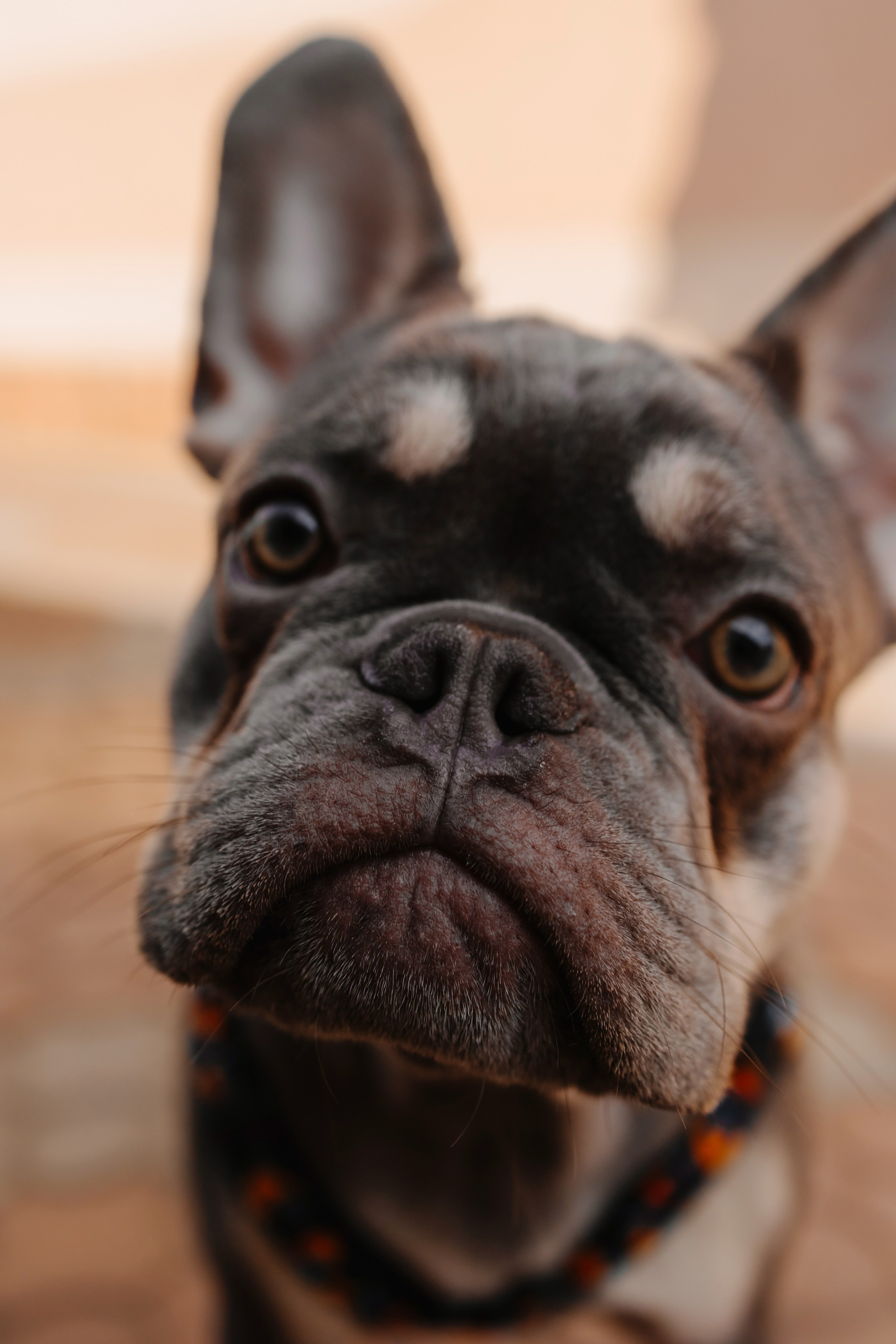 WEDDING DAY. Фотограф Дмитро Чернявський