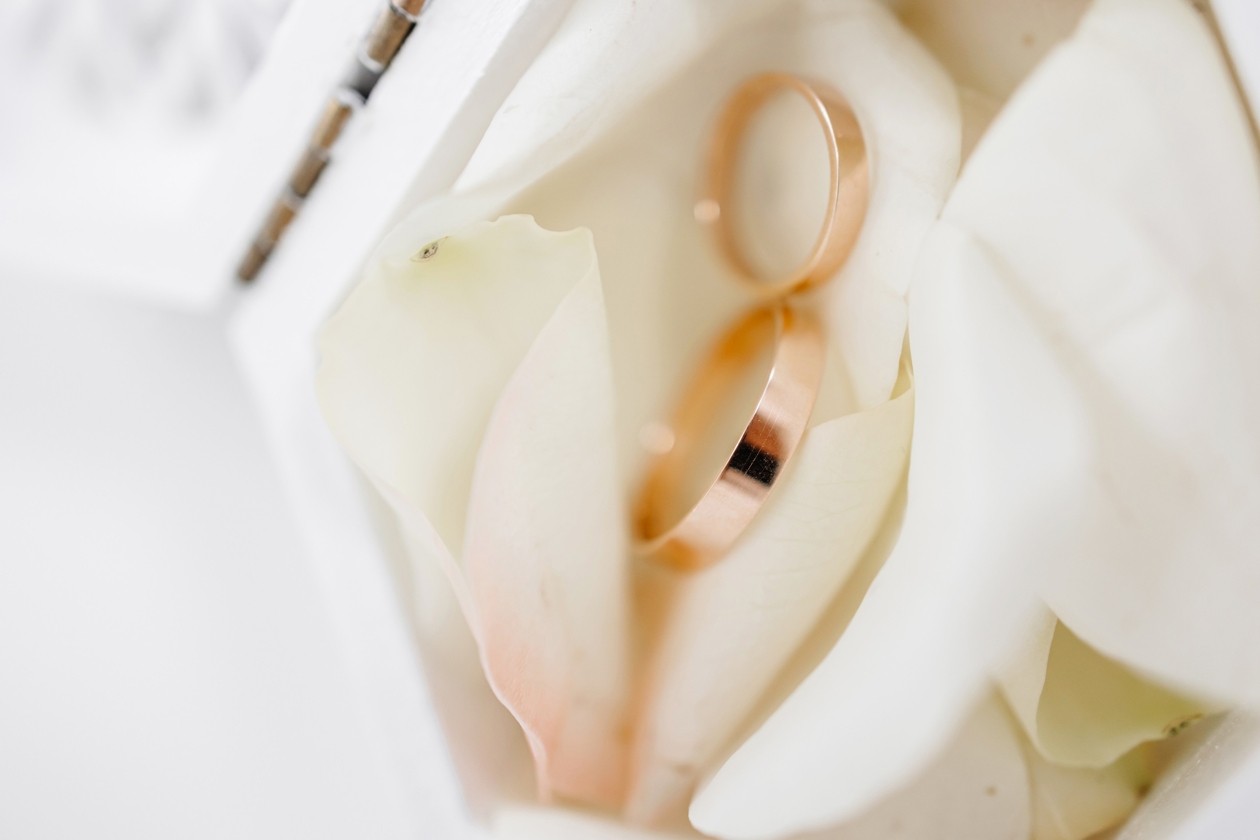 WEDDING DAY. Фотограф Дмитро Чернявський