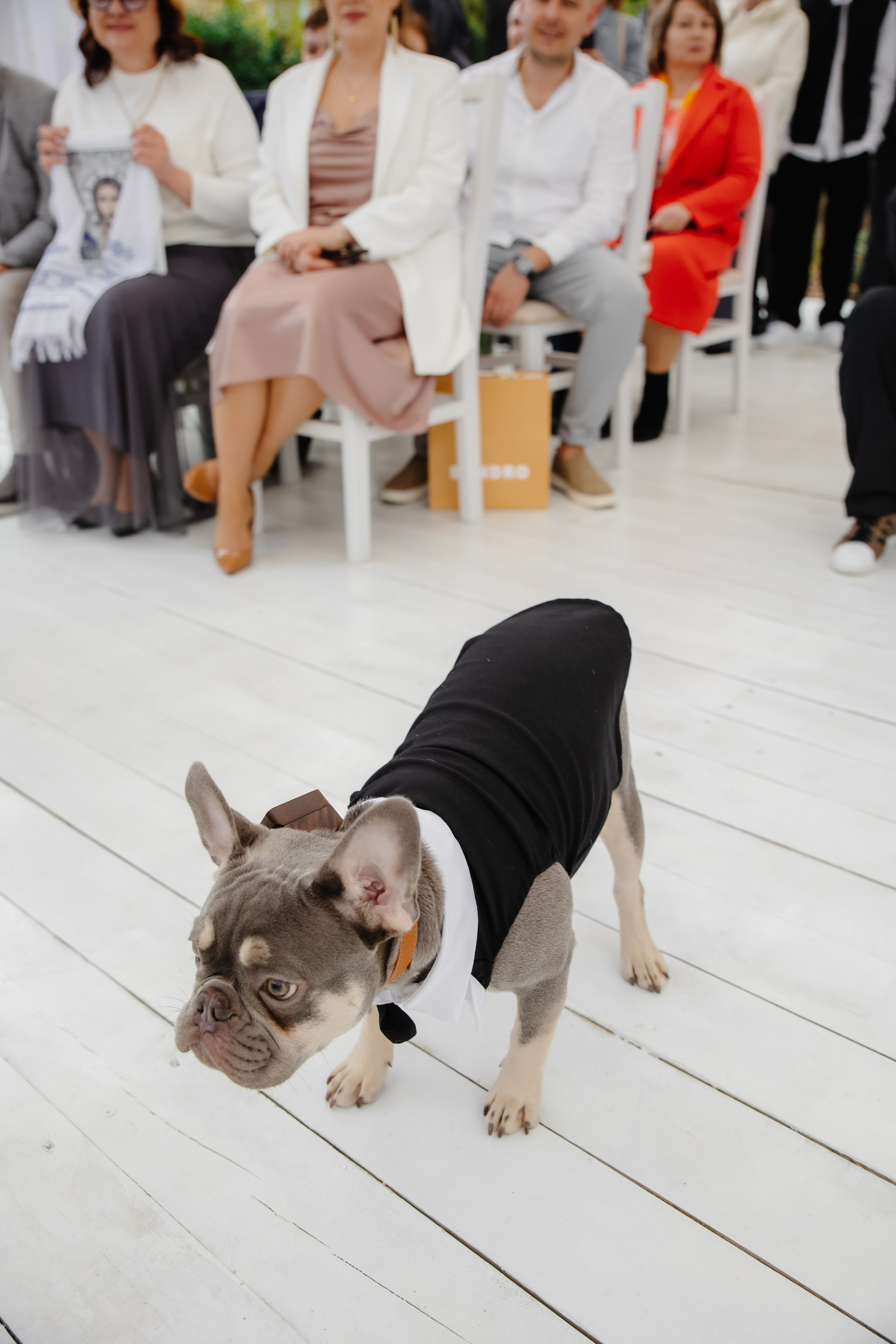 WEDDING DAY. Фотограф Дмитро Чернявський