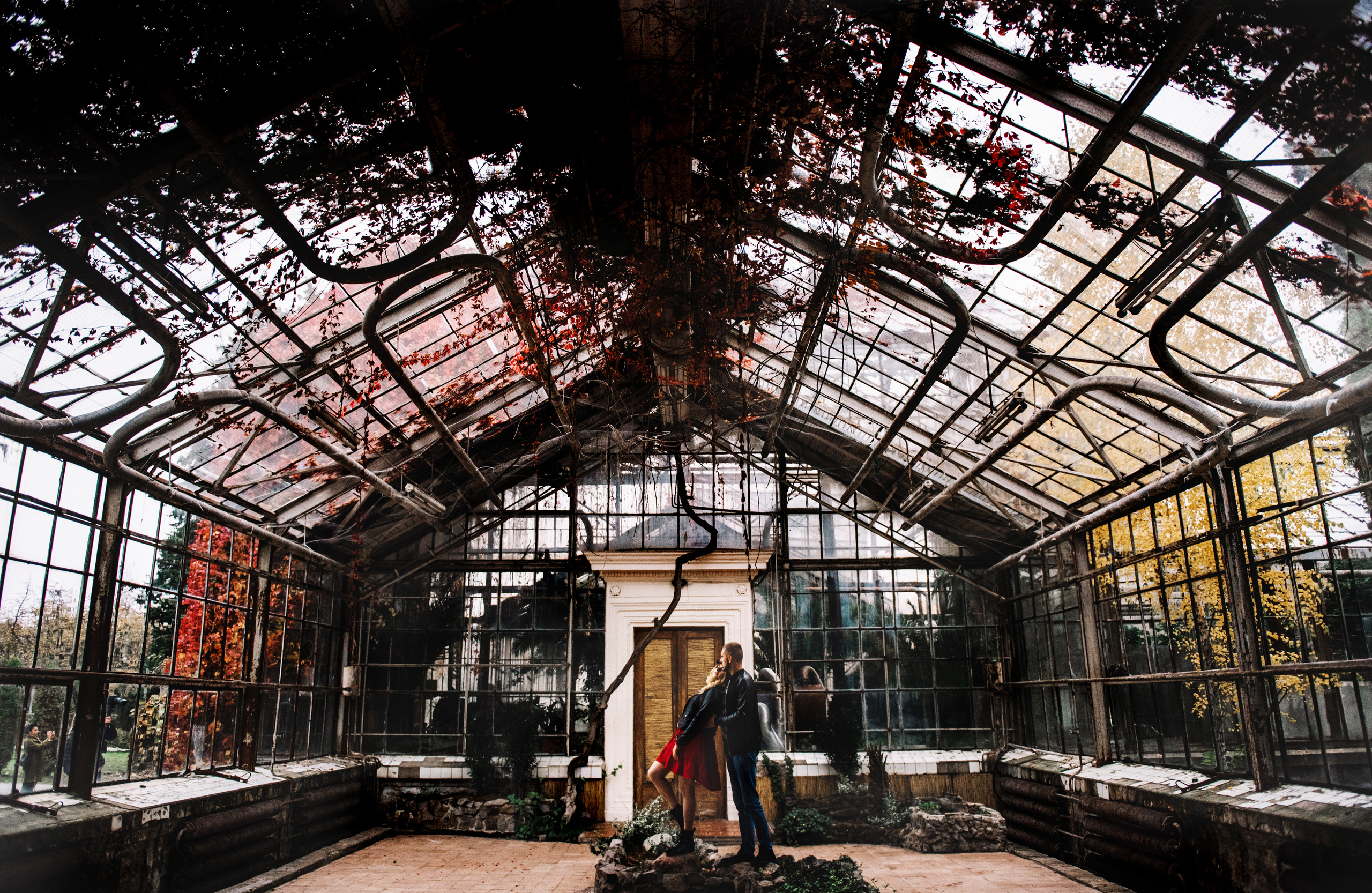 Фотосессия красивой пары в оранжерее. Фотограф Дмитро Чернявський