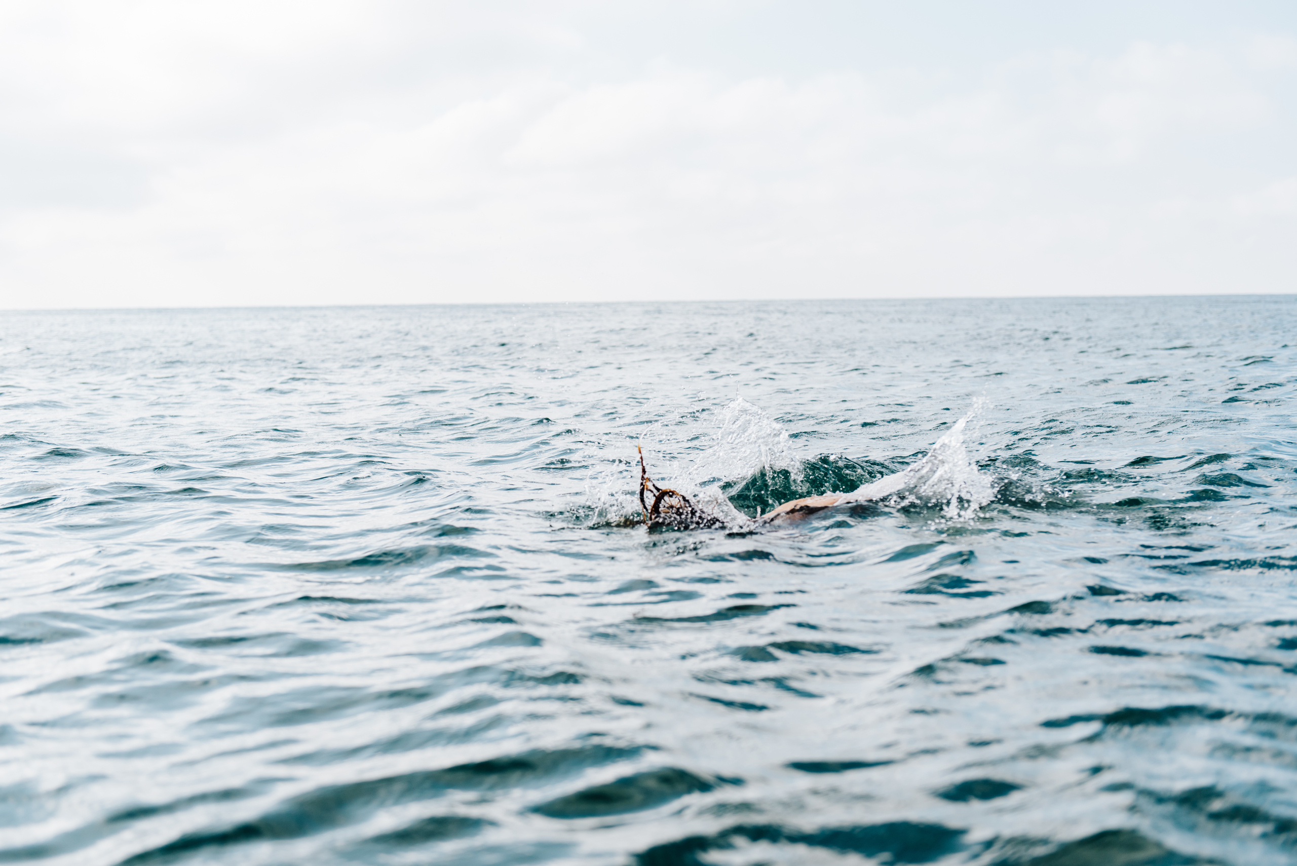 Фотосессия на пляже моря. Фотограф Дмитро Чернявський