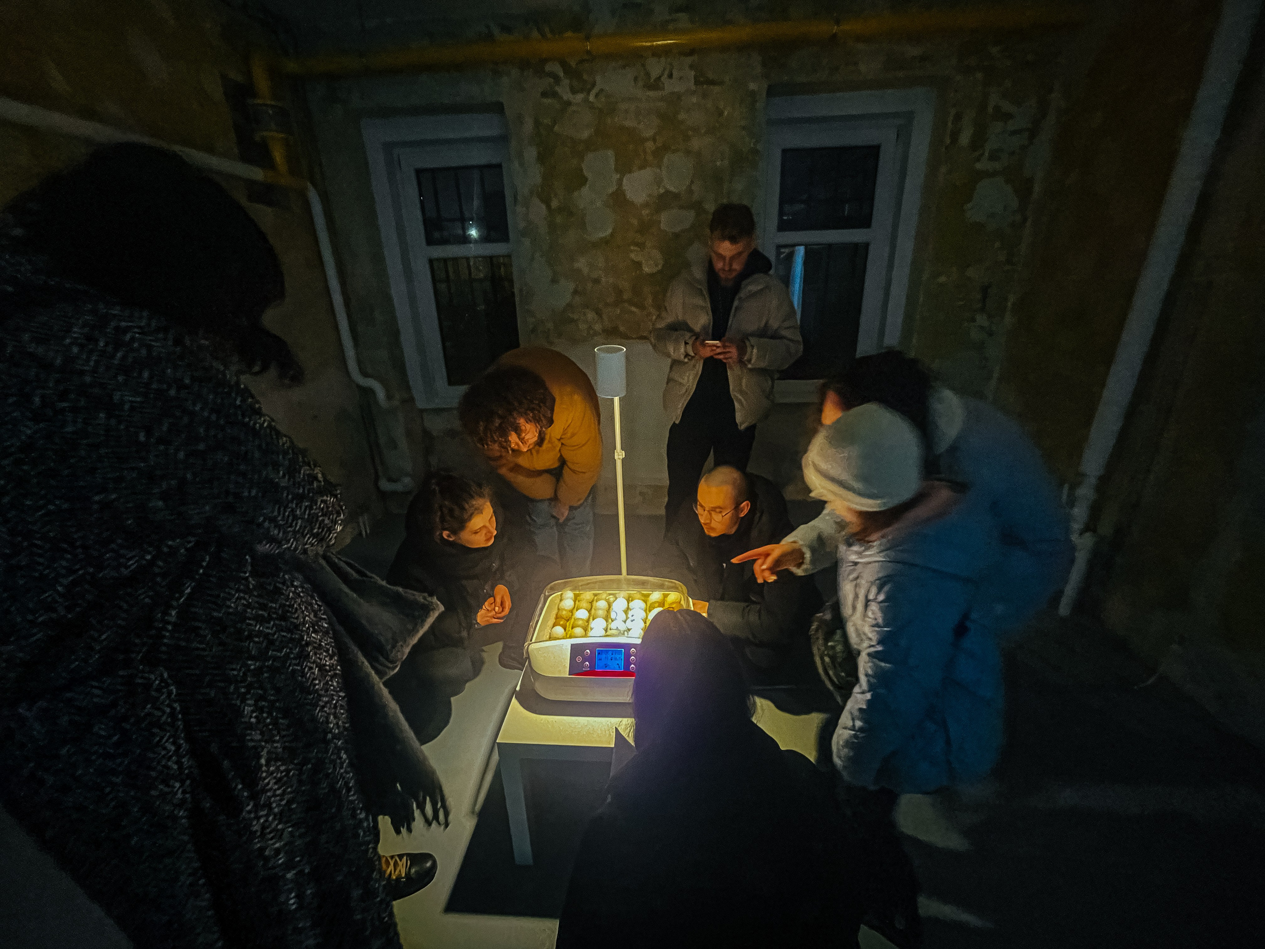 Inkubator. Maria Węsławska-Gribina