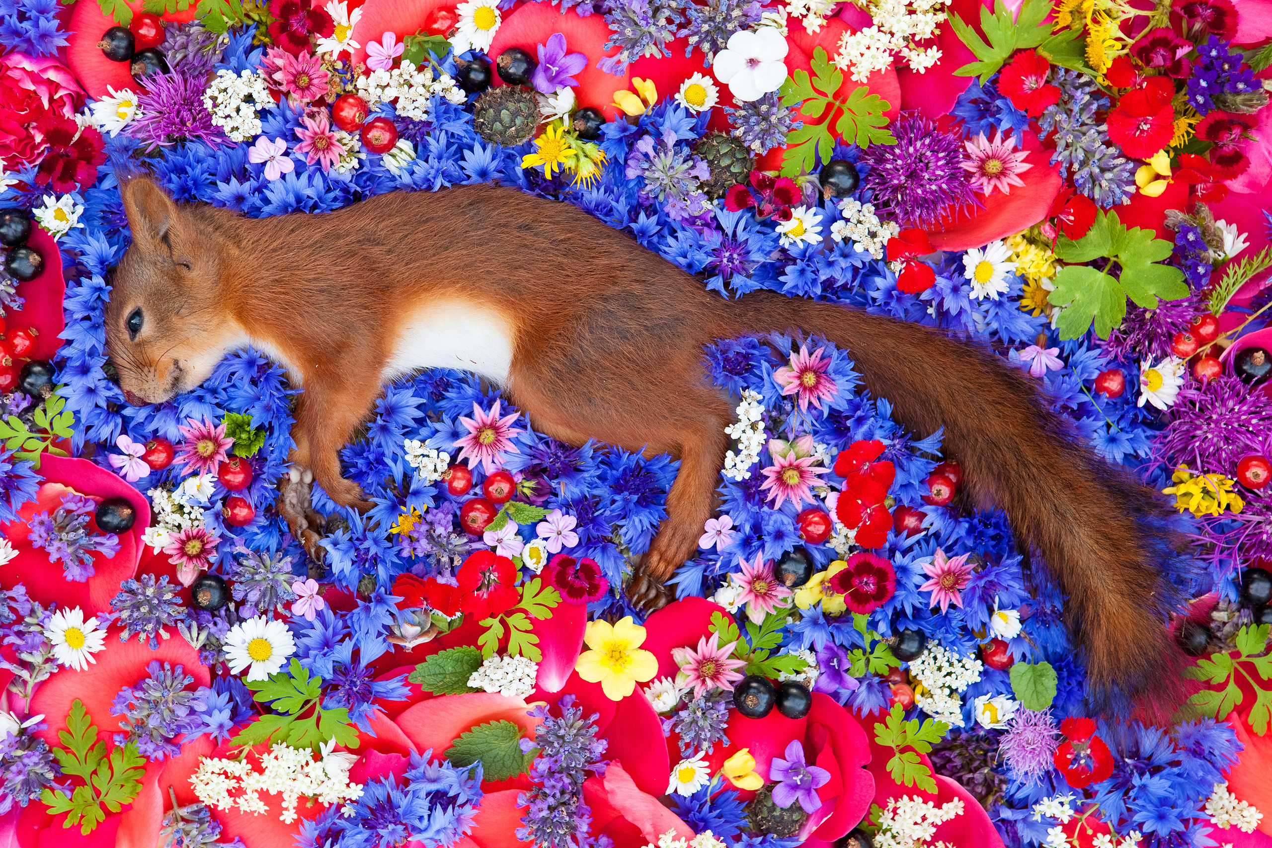 Natura Morta. Maria Węsławska-Gribina