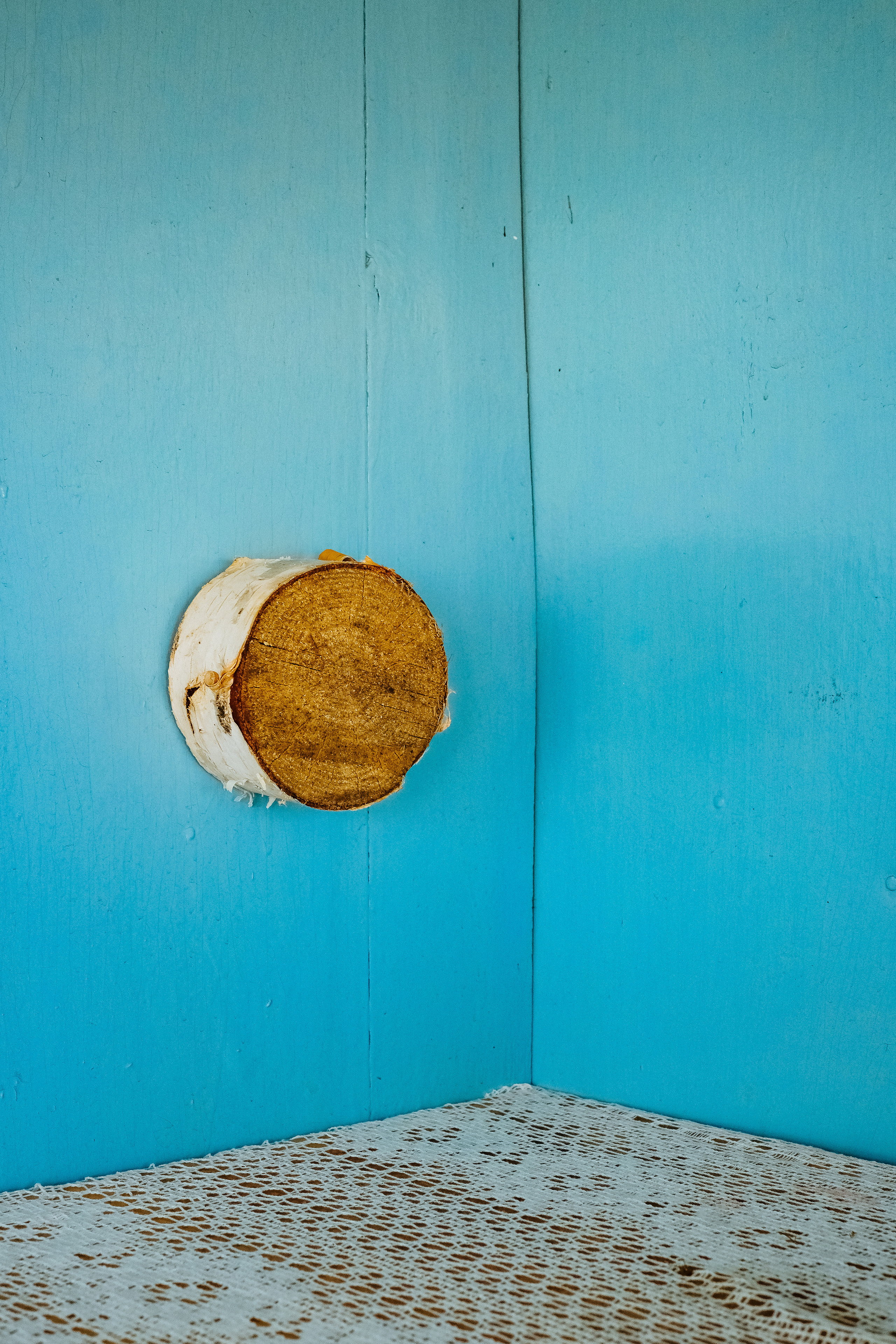 "Esenin". Just below my window stands a birch-tree white.... Birch is one of the main symbols of Russia. The image of this tree is invariably present in Russian folklore and poetry.