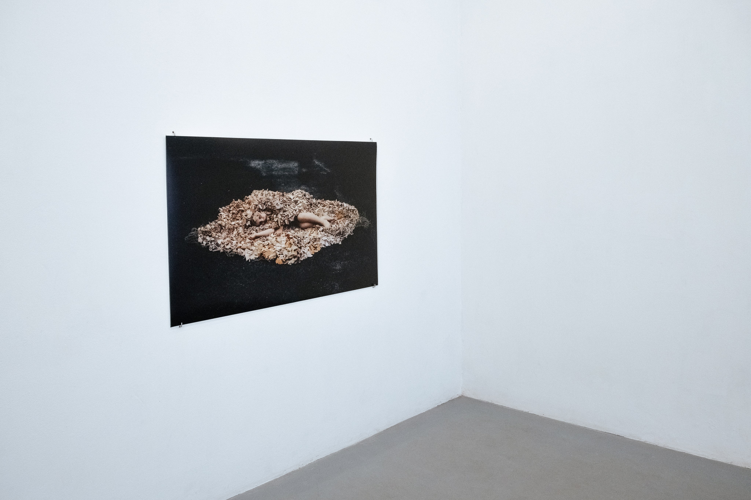 Azyl. Maria Węsławska-Gribina