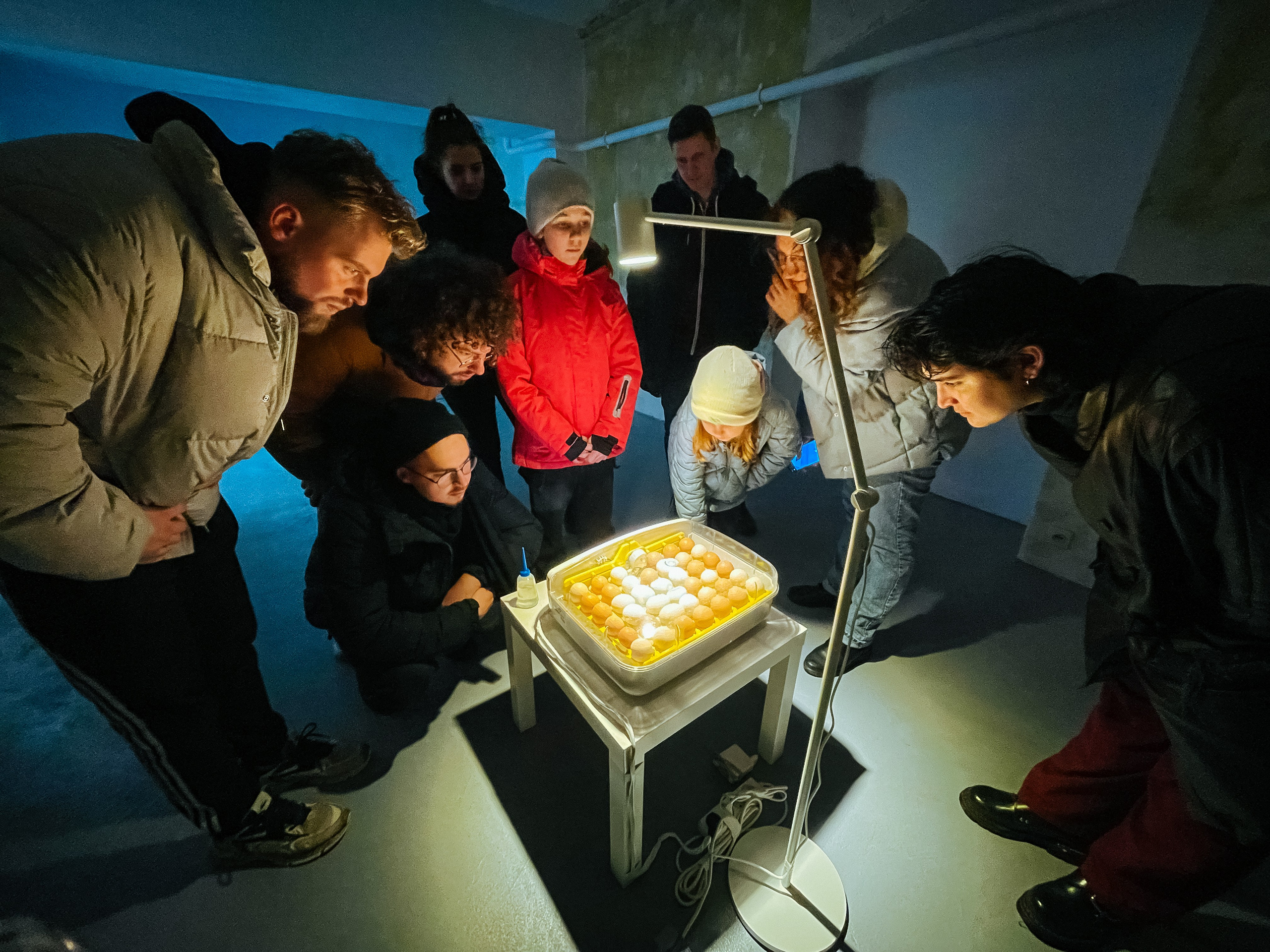 Inkubator. Maria Węsławska-Gribina