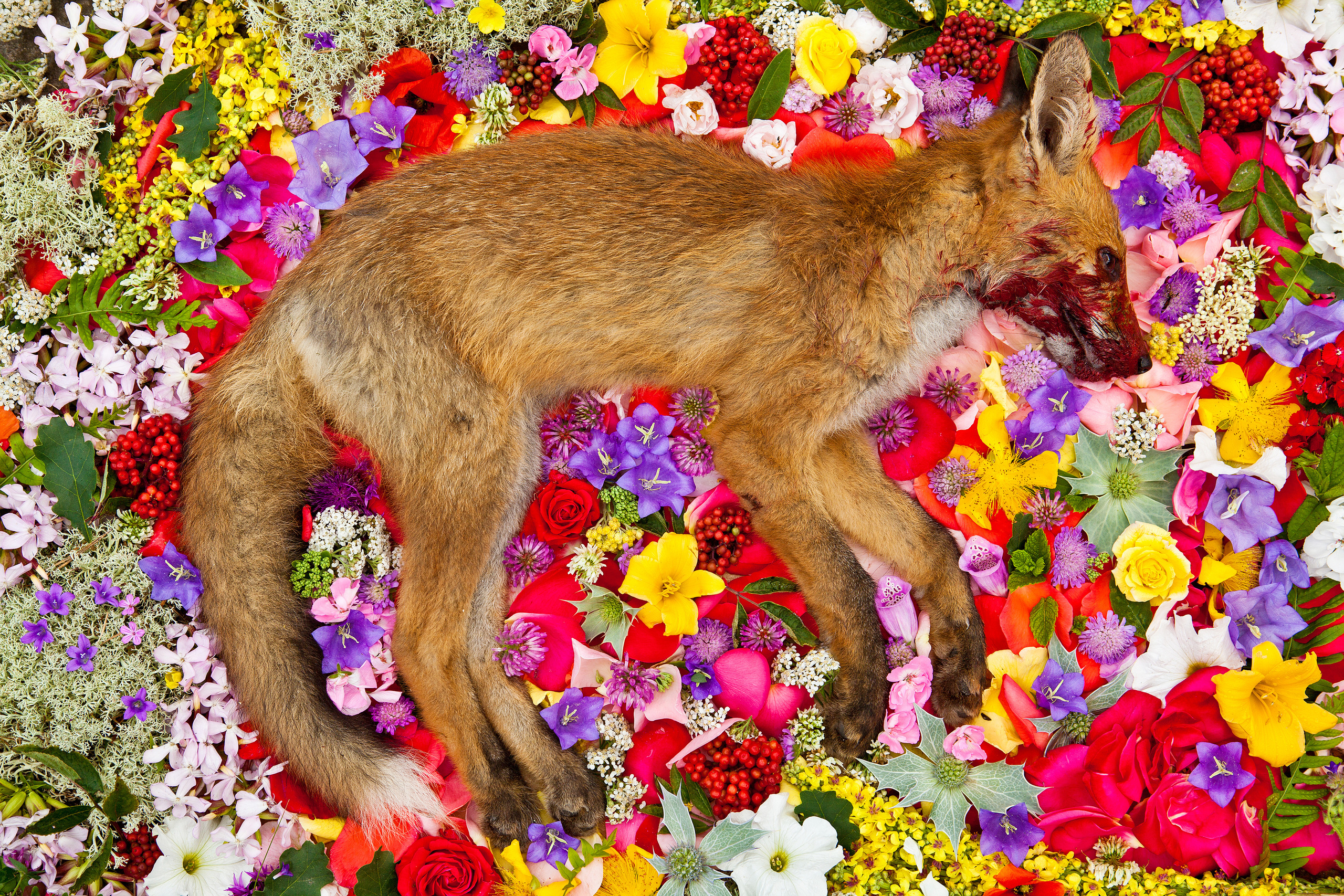 Natura Morta. Maria Węsławska-Gribina