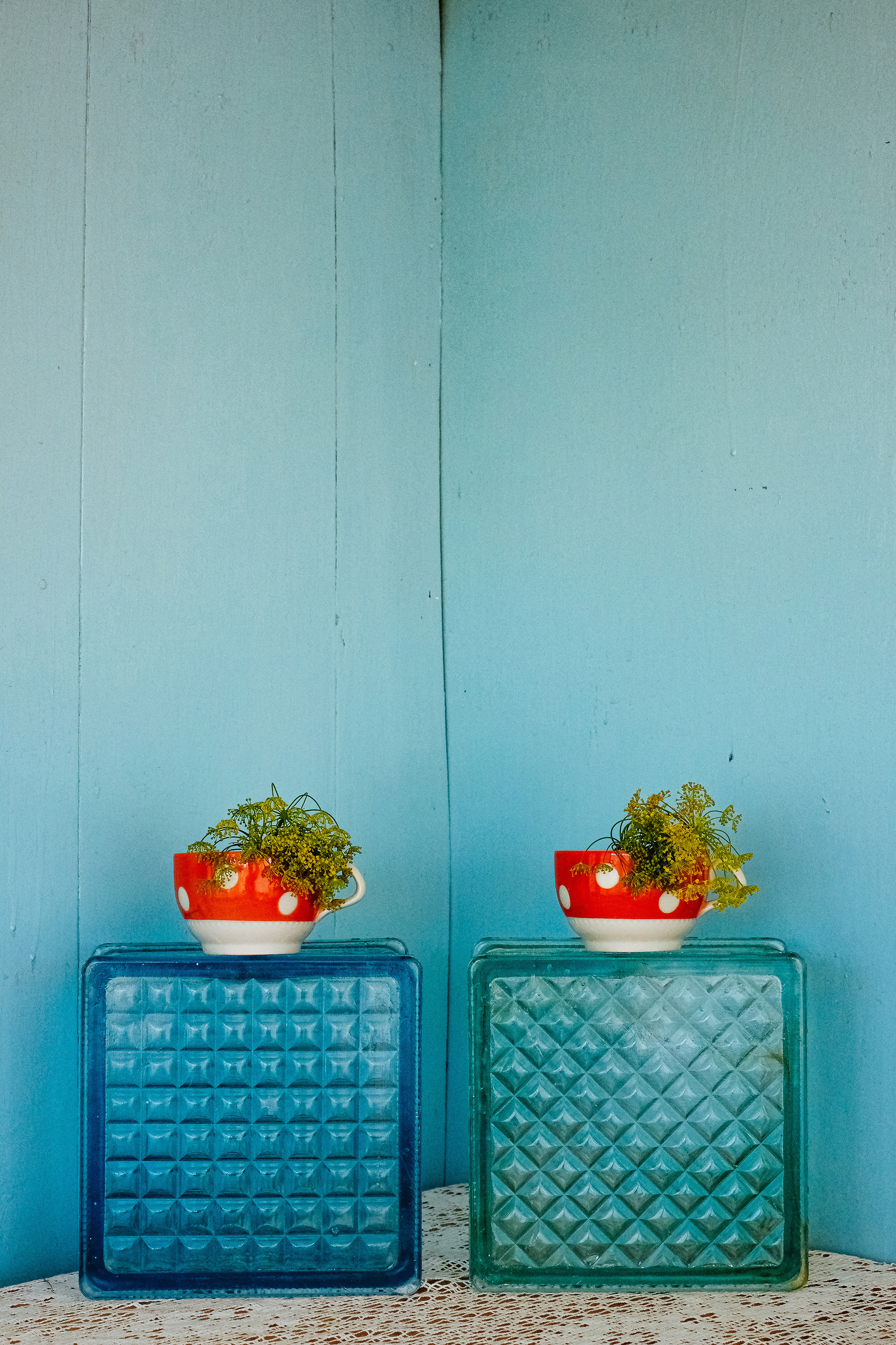 "Harvest dill".  Dill is a mystery of Russian cuisine, Russians decorate all dishes with dill. Adding this greenery to everything is a stable sign of Russian gastronomy since the times of the USSR. Dill inflorescences are used in pickling cucumbers.