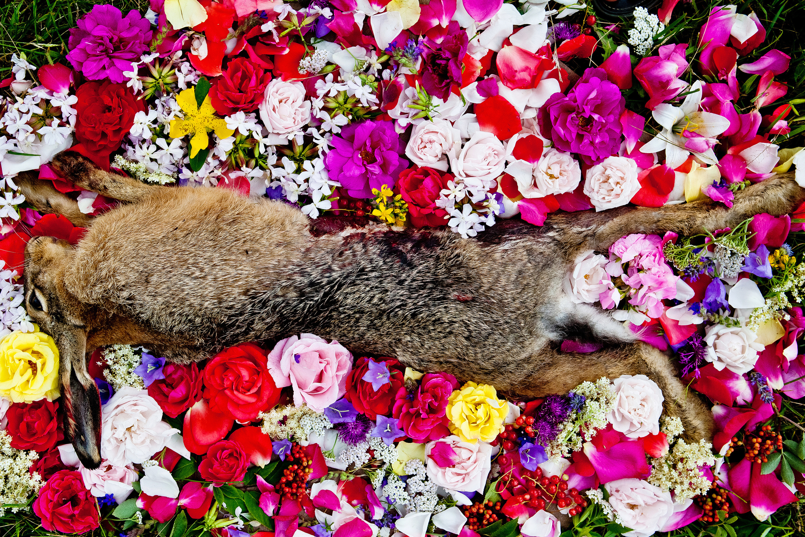 Natura Morta. Maria Węsławska-Gribina