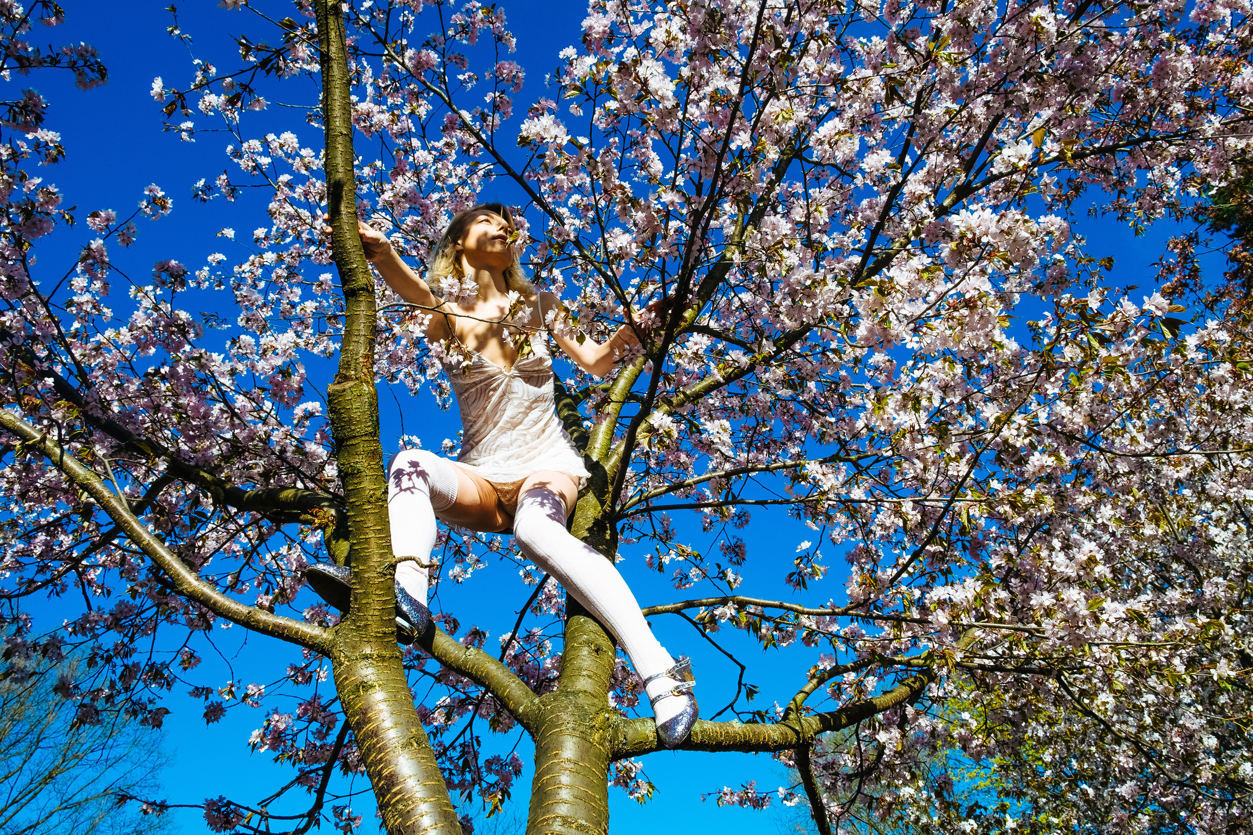 Lida, 26 years old, RussiaI’ve always wanted to have sex under the blooming sakuras. To me theseflowers are symbols of love, purity and tenderness. But on the day of theshoot the garden was closed. There was just one sakura growing neaby.