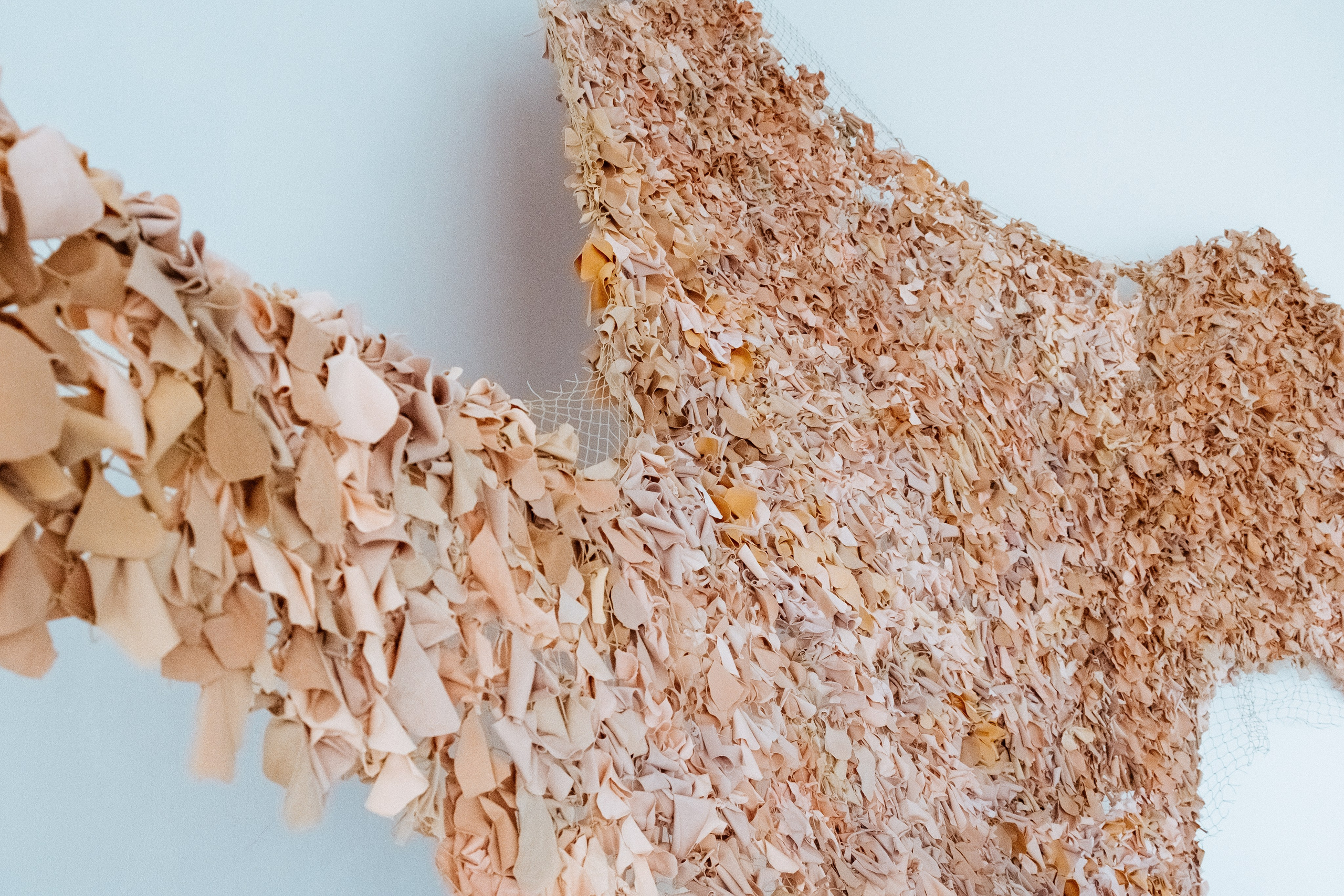 Azyl. Maria Węsławska-Gribina