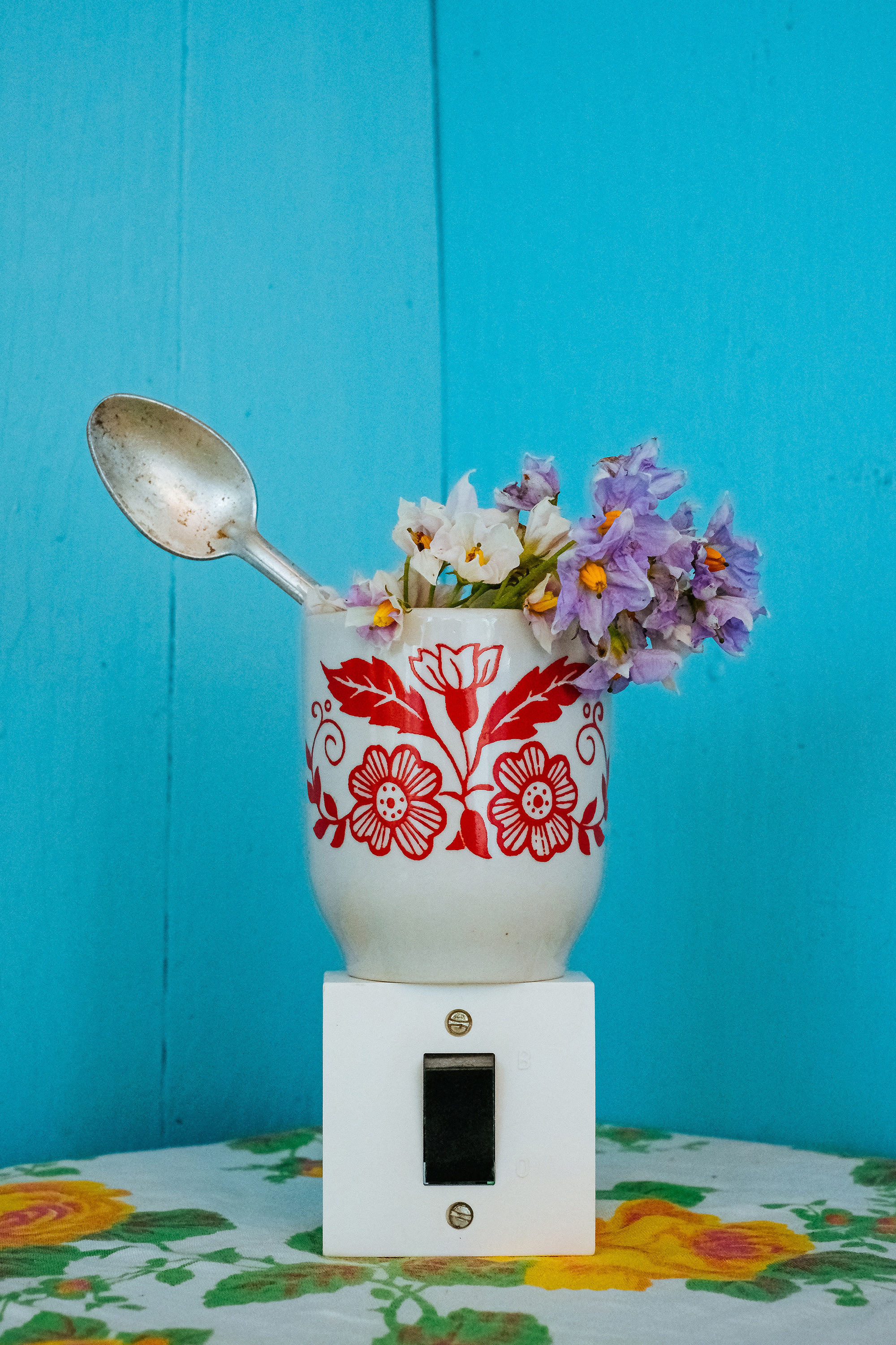 “Potato harvest”. Potato flowers are very beautiful, but they are never perceived by people as flowers, farmers always expect potatoes to bloom, because after those tubers begin to form. Potatoes are considered a national dish in Russia. It is eaten boiled, fried and mashed.