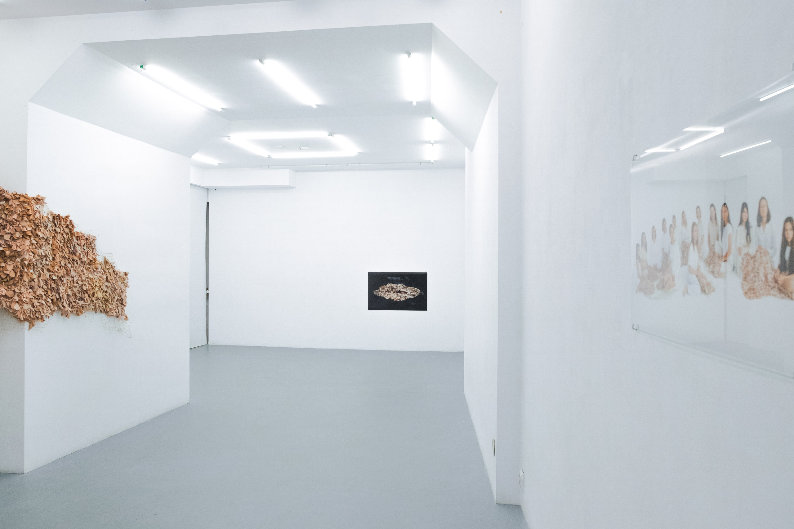 Azyl. Maria Węsławska-Gribina